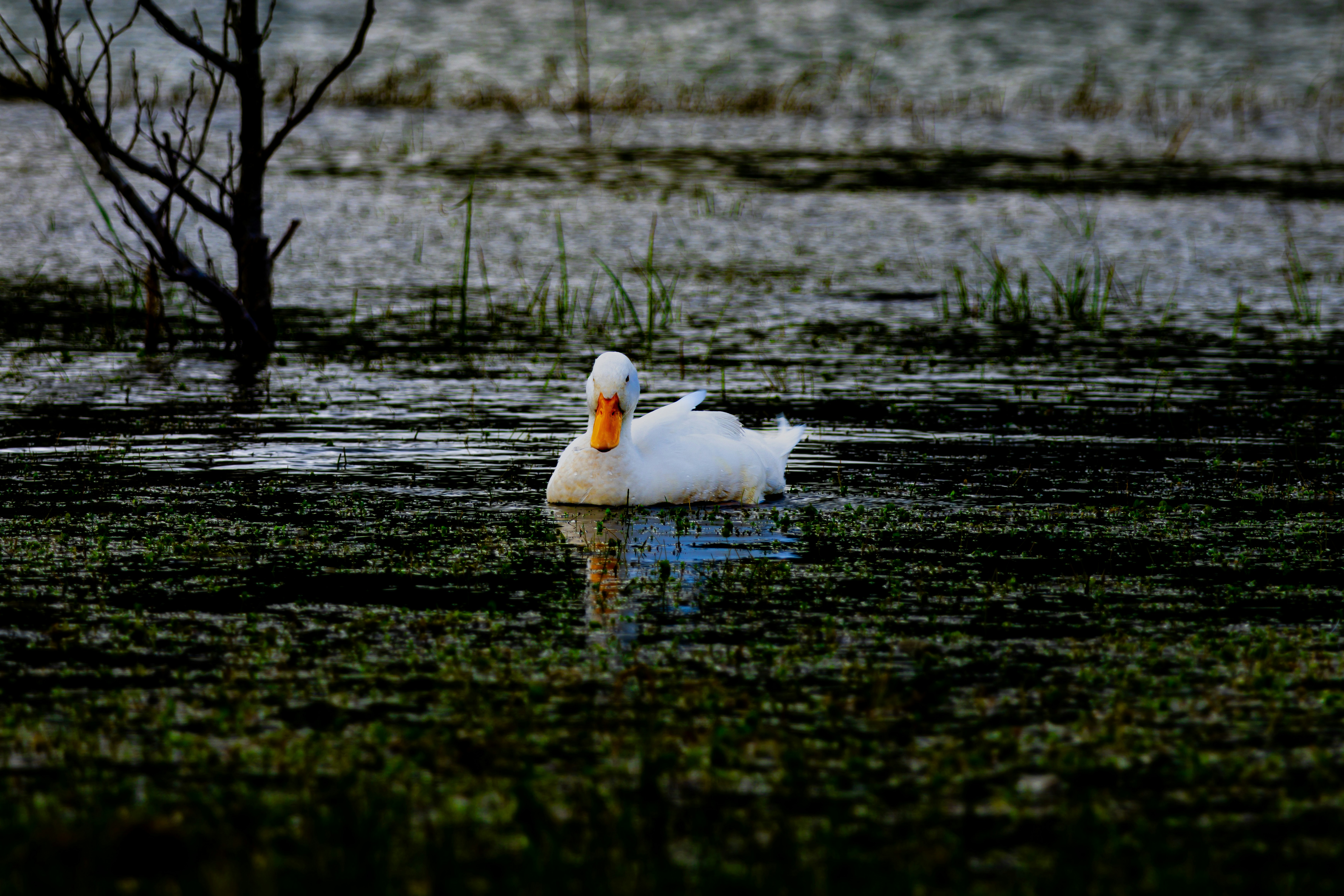 Photo by zymot