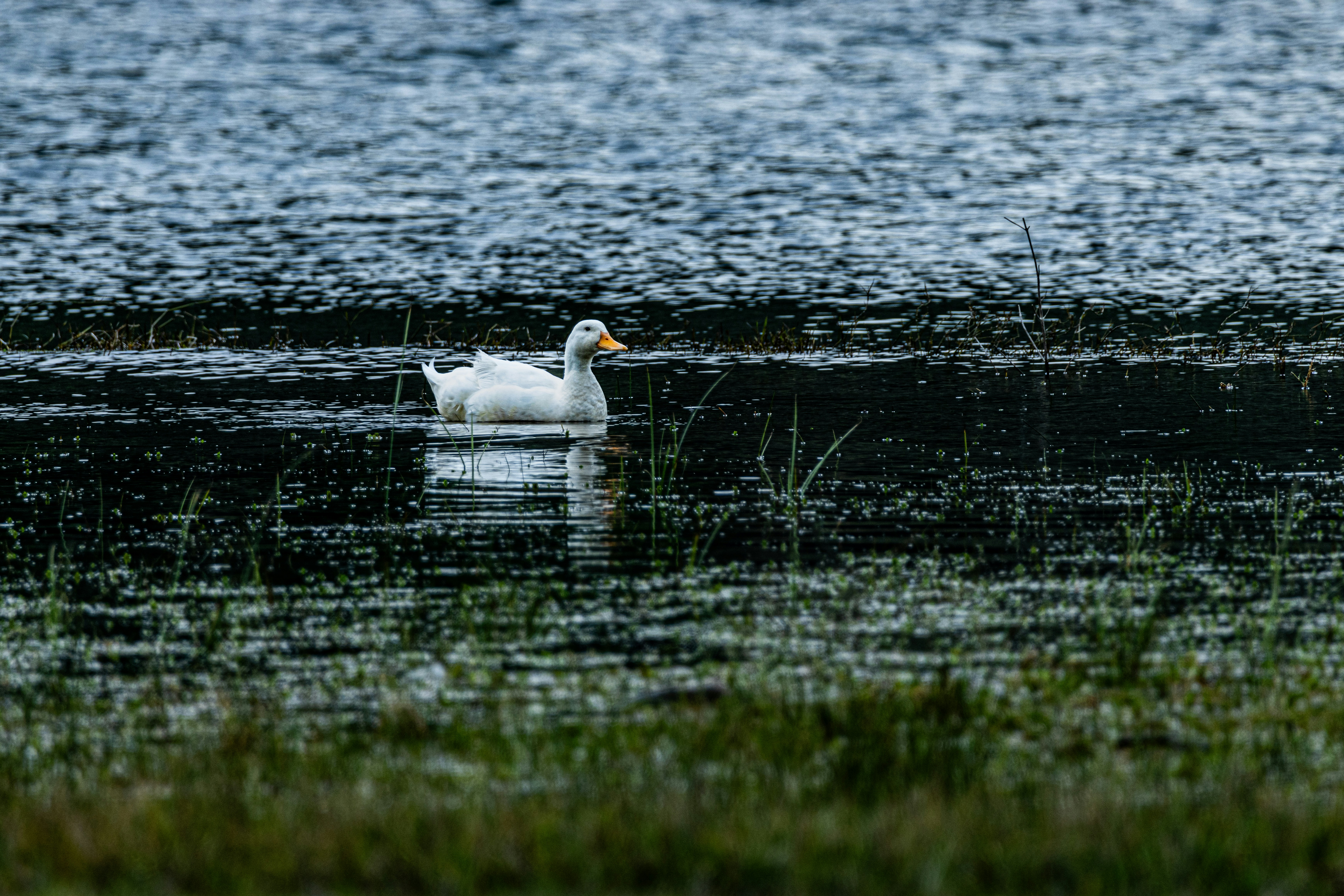 Photo by zymot