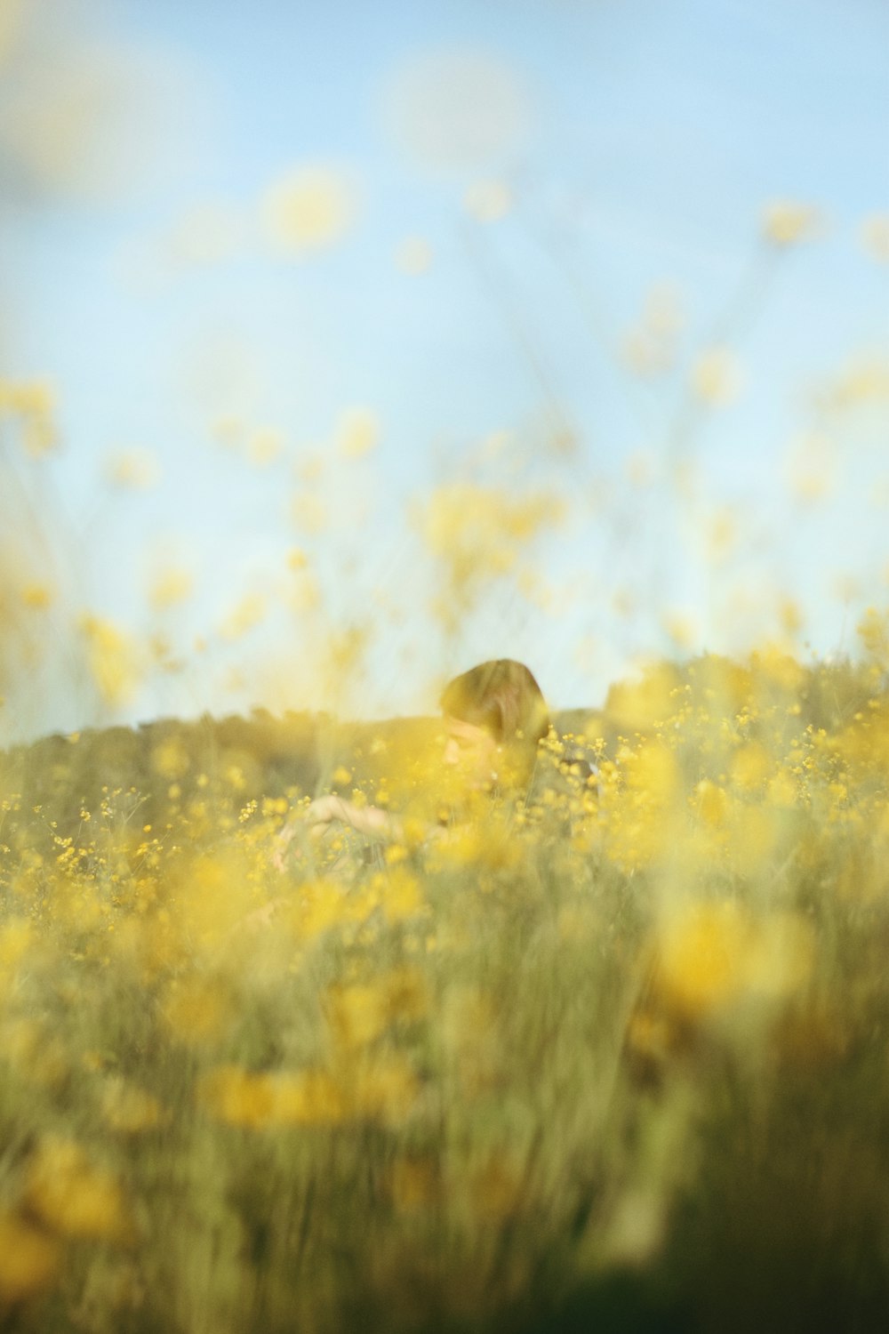 a blurry photo of a person in a field of flowers