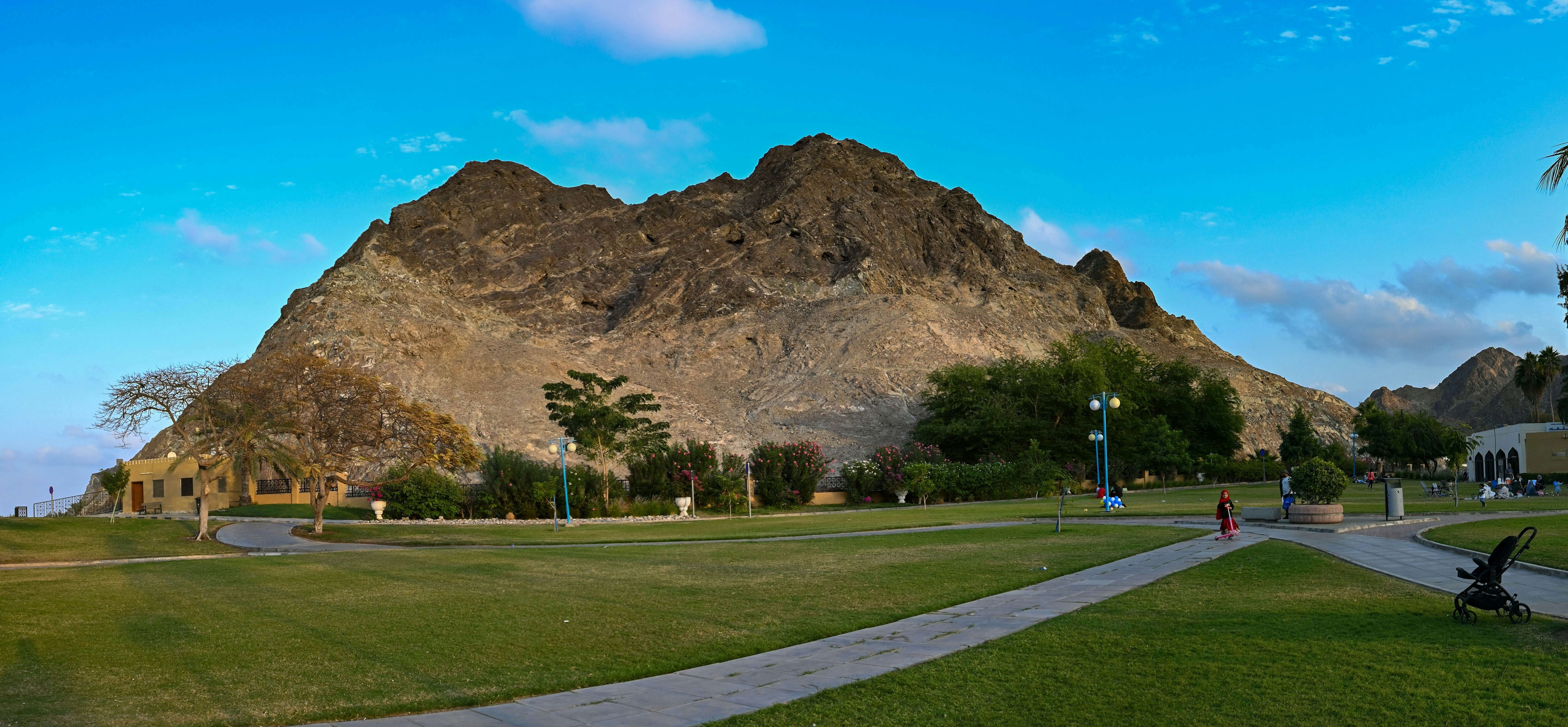 a park with a mountain in the background