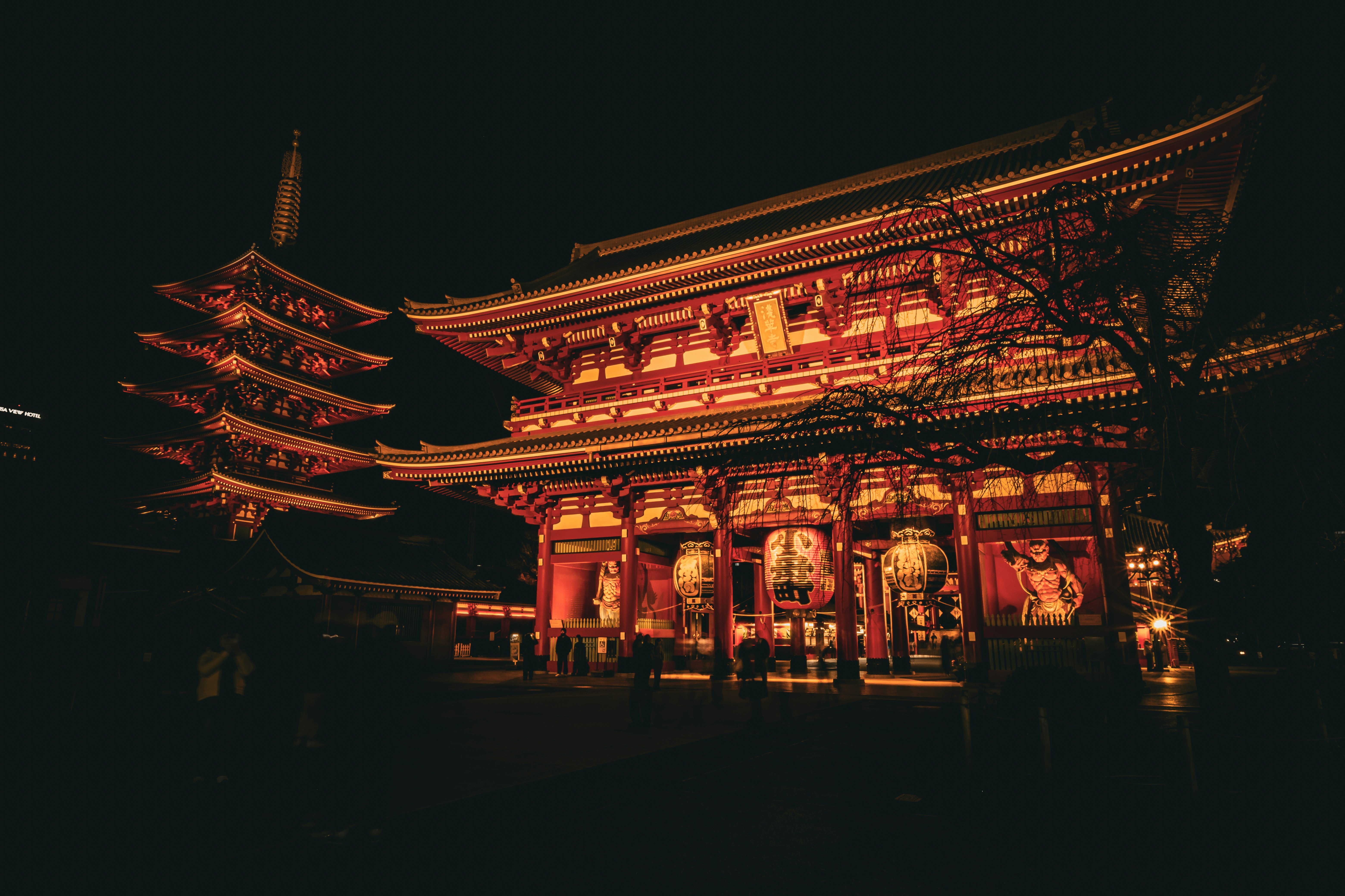 Hidden temple and lanterns at night in Japan