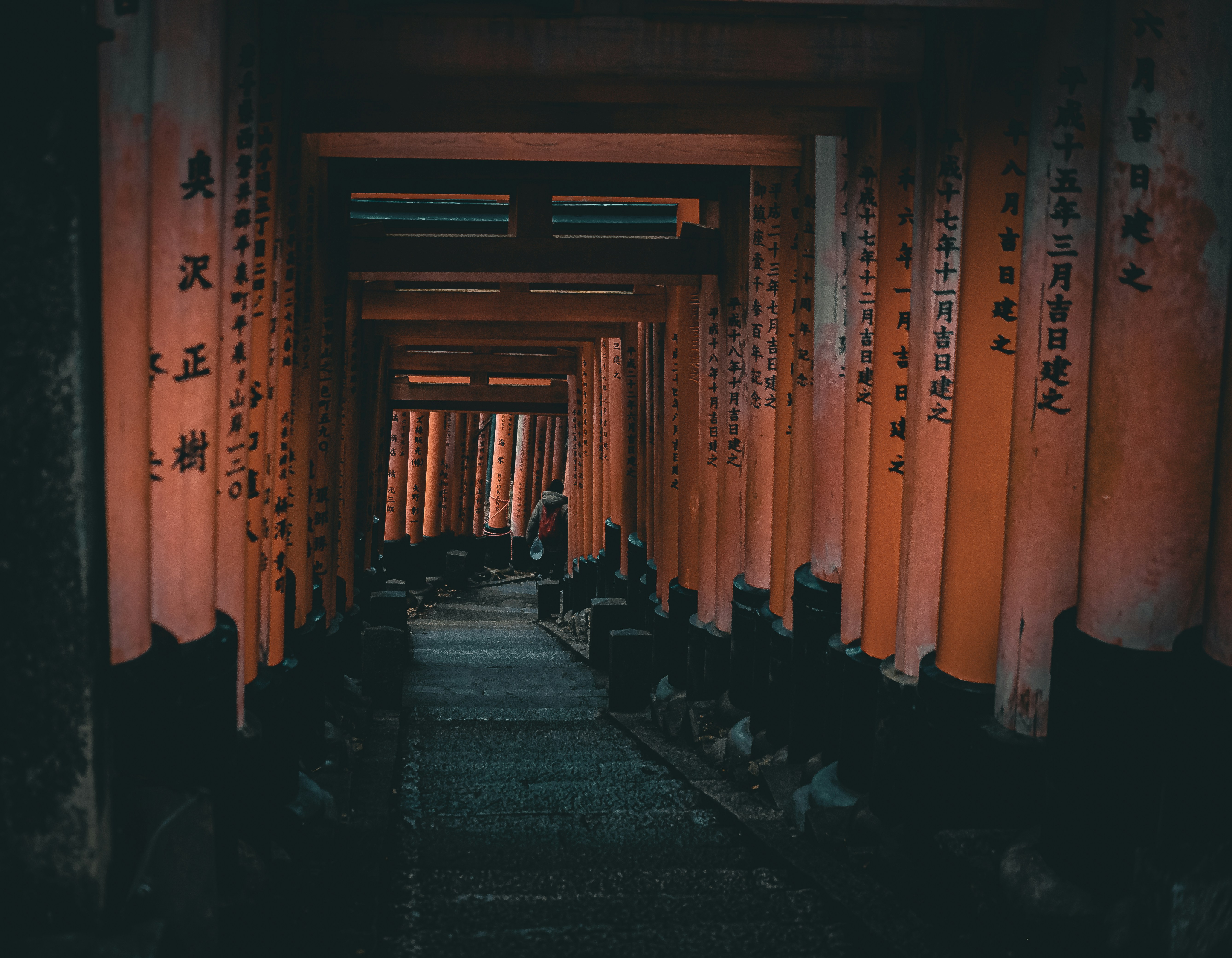 Photo by dana_andreea