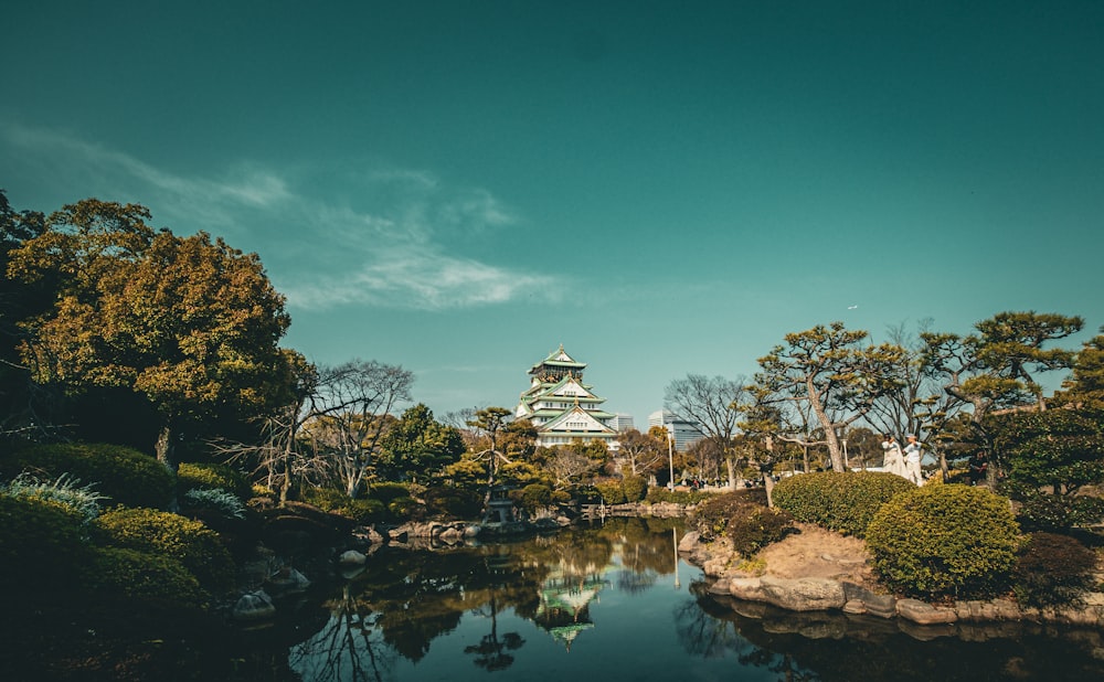 a small pond surrounded by trees and rocks