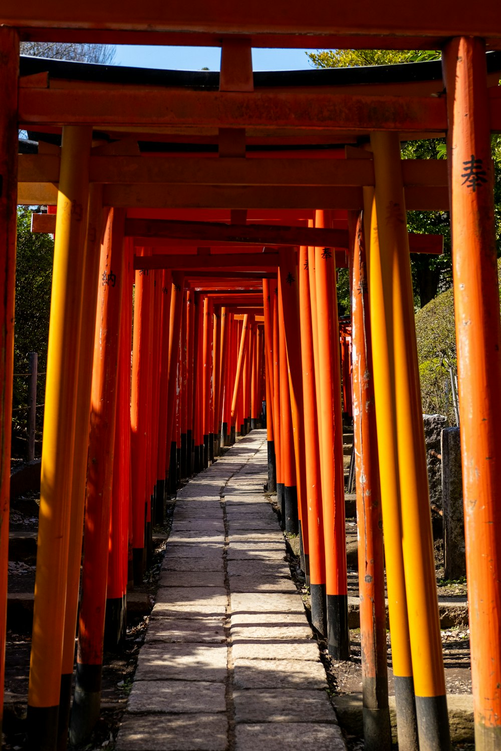 a walkway lined with orange and yellow columns
