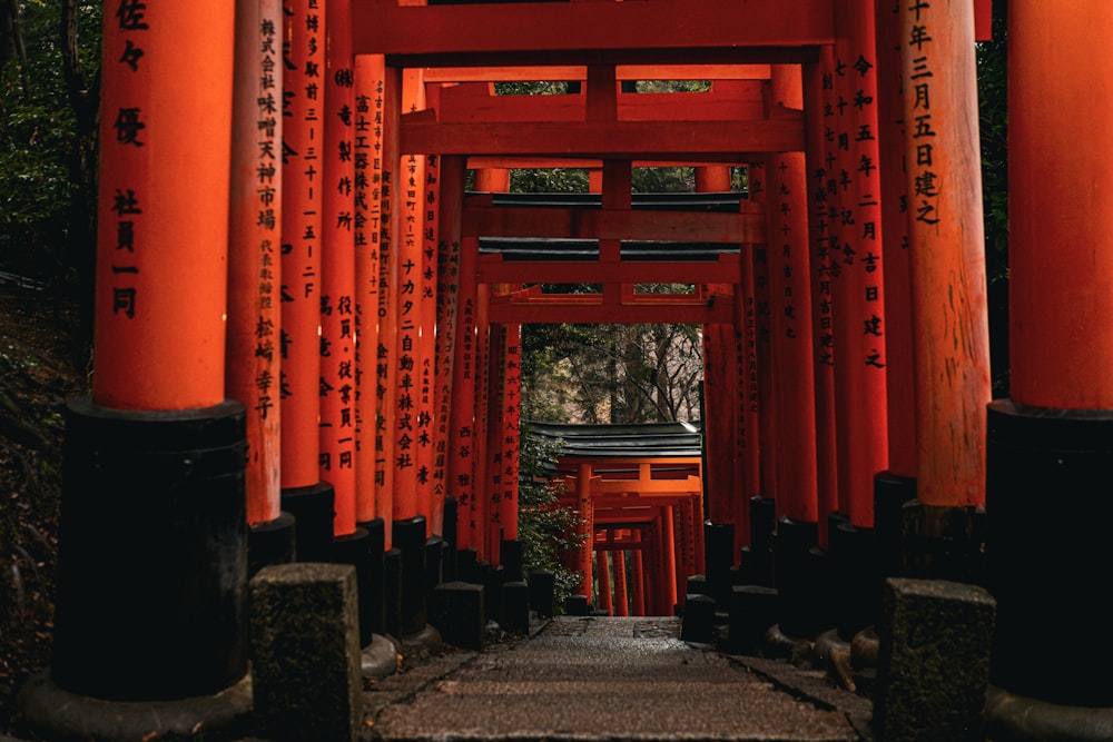 a group of red tori tori tori tori tori tori tori tori tori tori tori tori