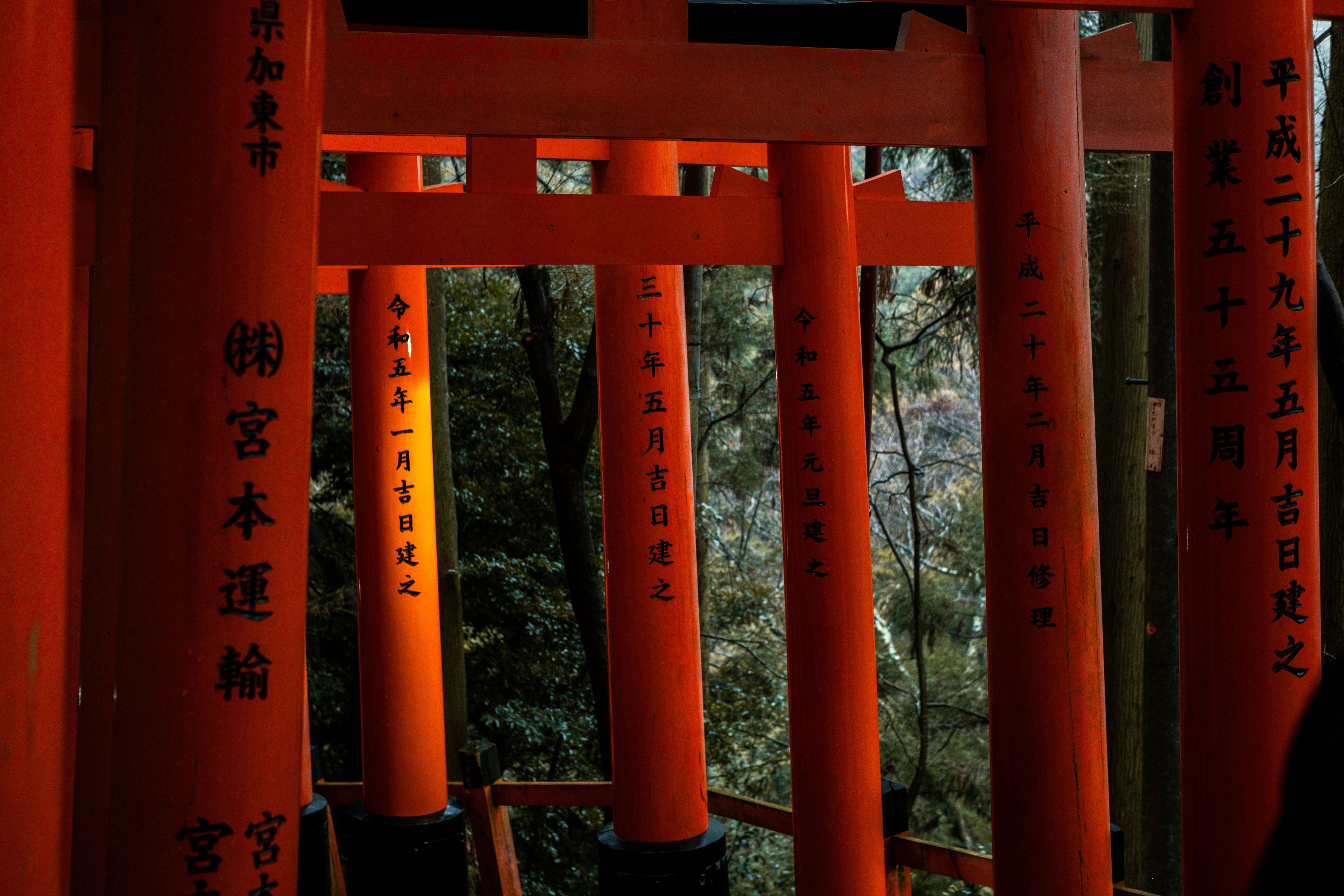 Photo by dana_andreea