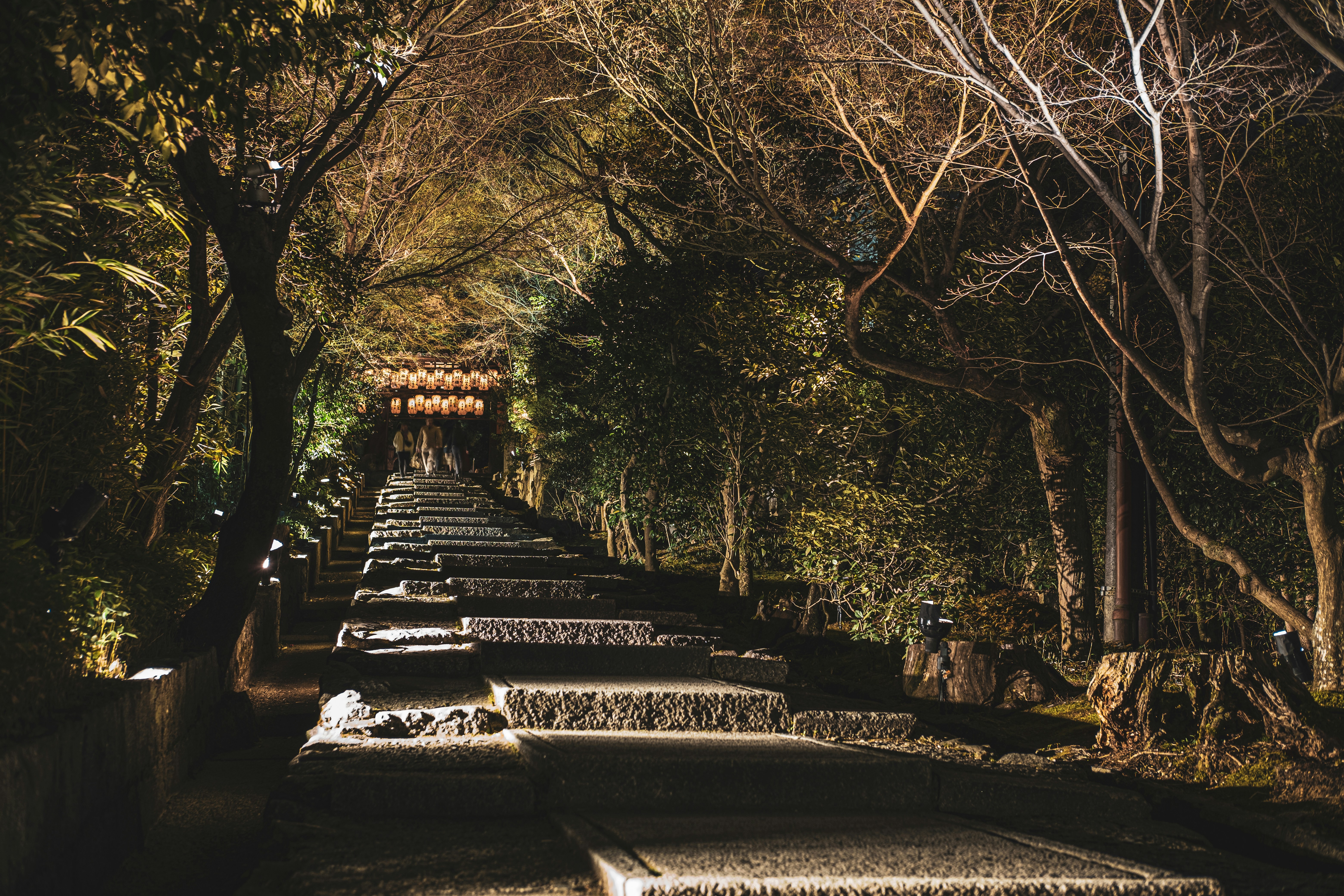 a set of steps leading up to the top of a hill, 