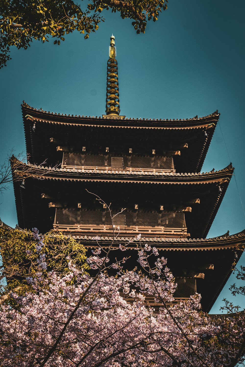 a tall tower with a tree in front of it