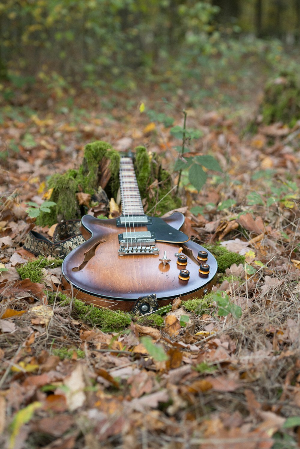 a guitar laying on the ground in the woods