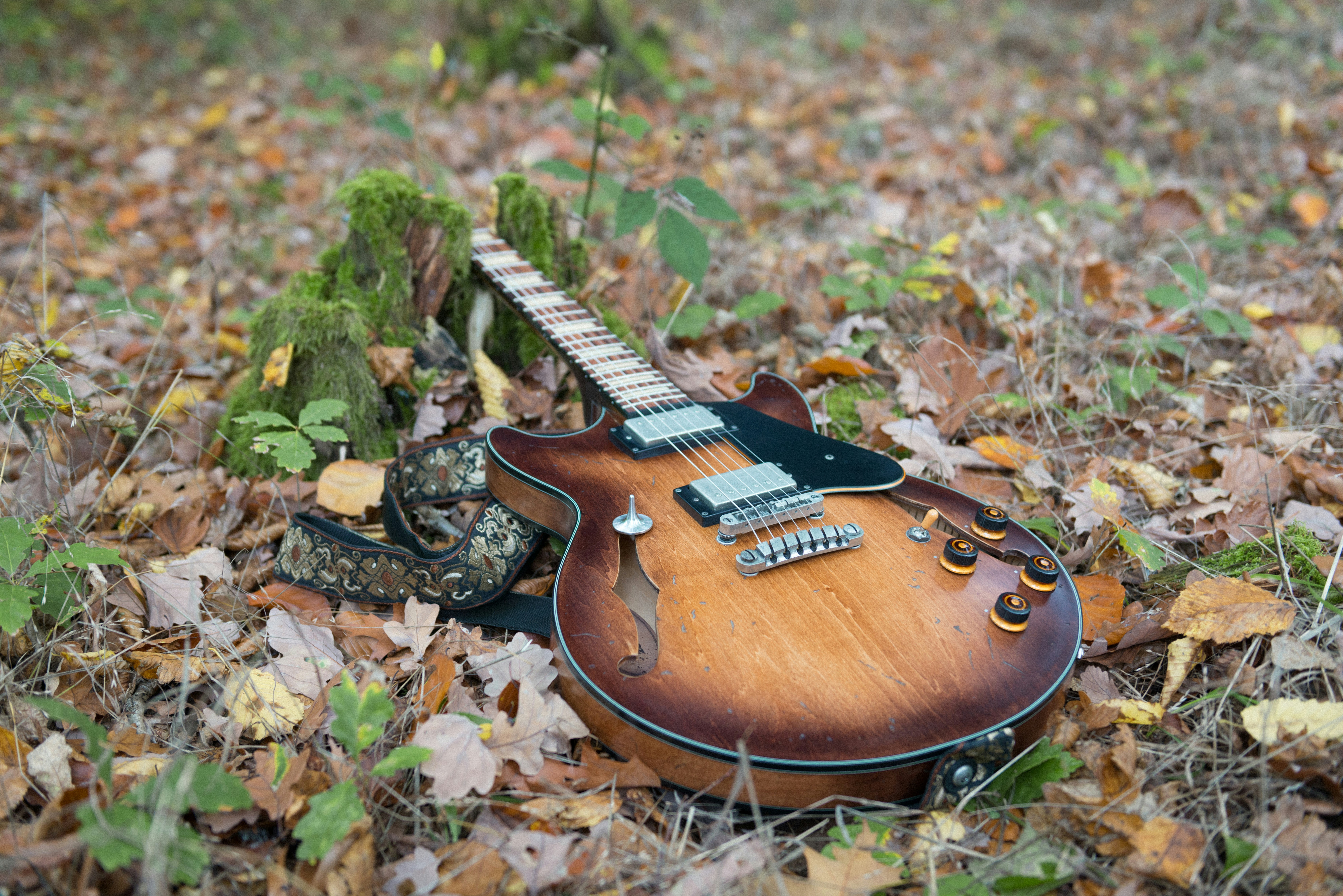 une guitare posée sur le sol dans les feuilles