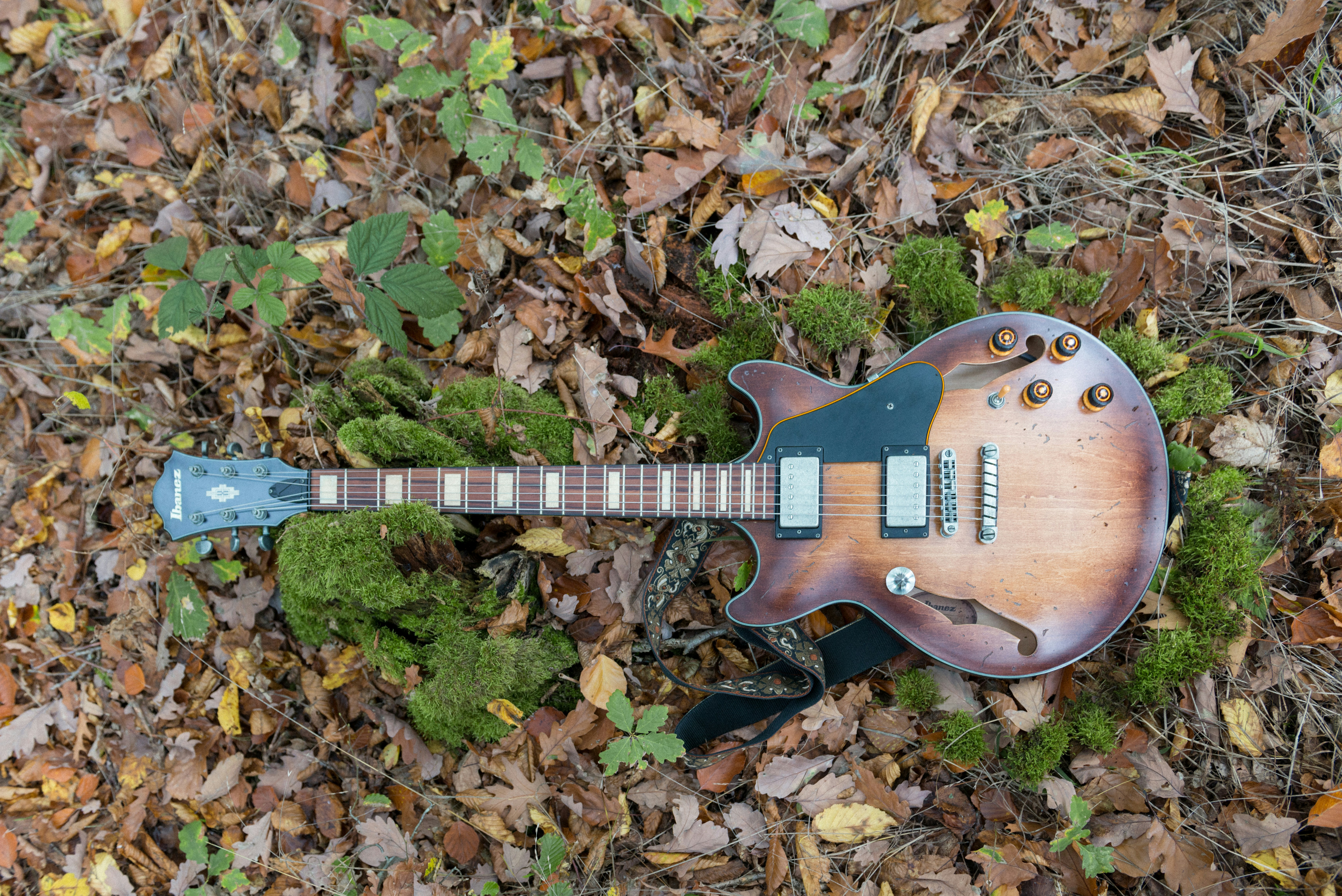 une guitare posée sur le sol entourée de feuilles