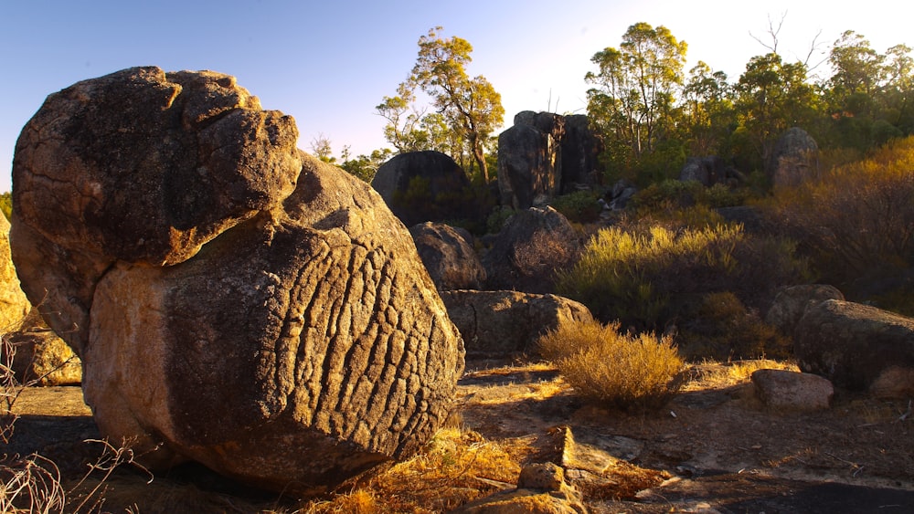 a large rock in the middle of a field