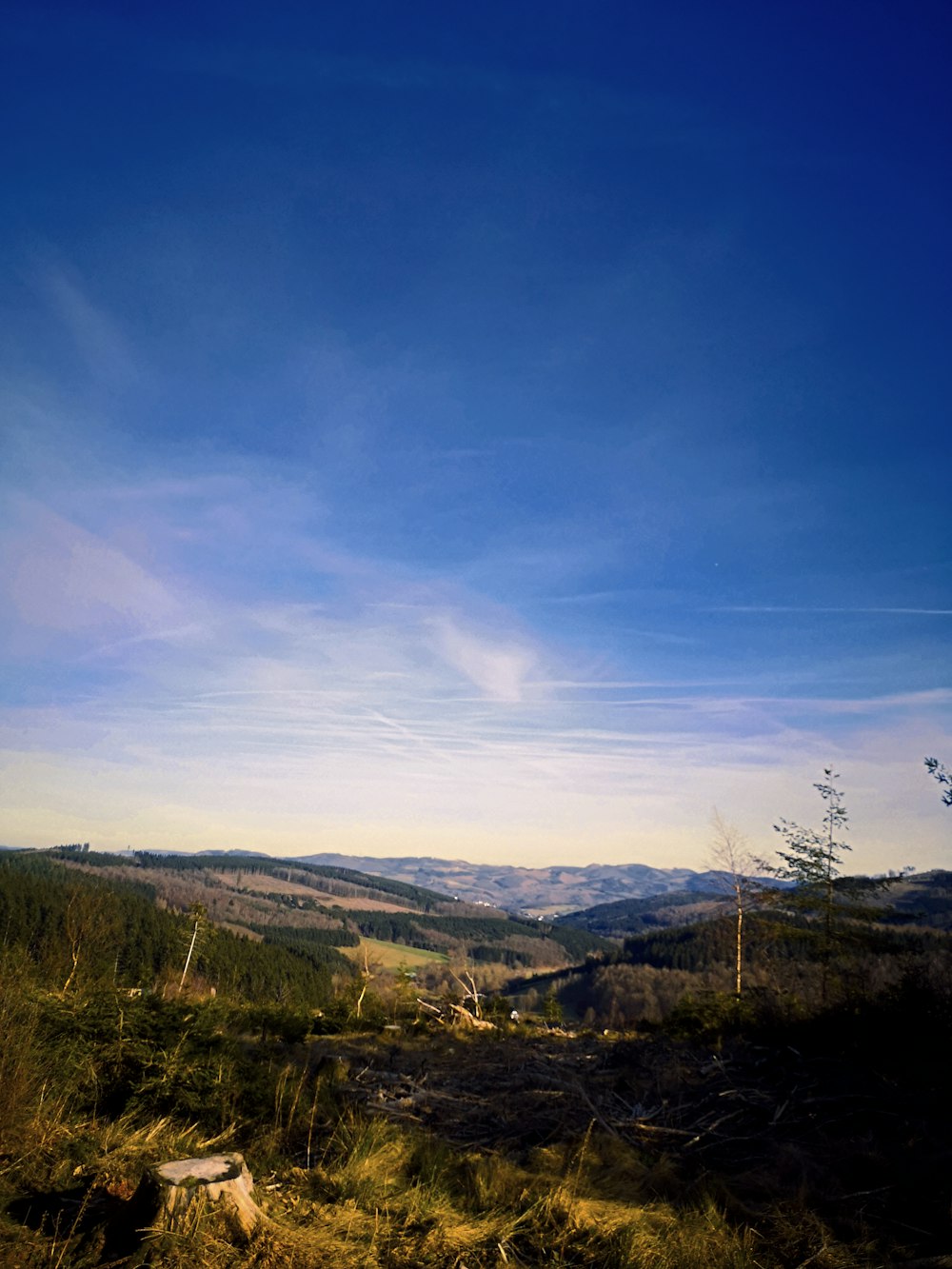 a bench sitting on top of a grass covered hillside