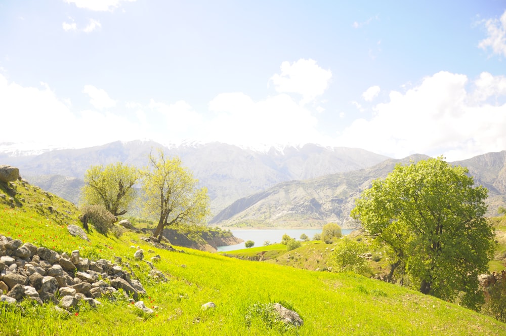 a grassy hill with a lake and mountains in the background