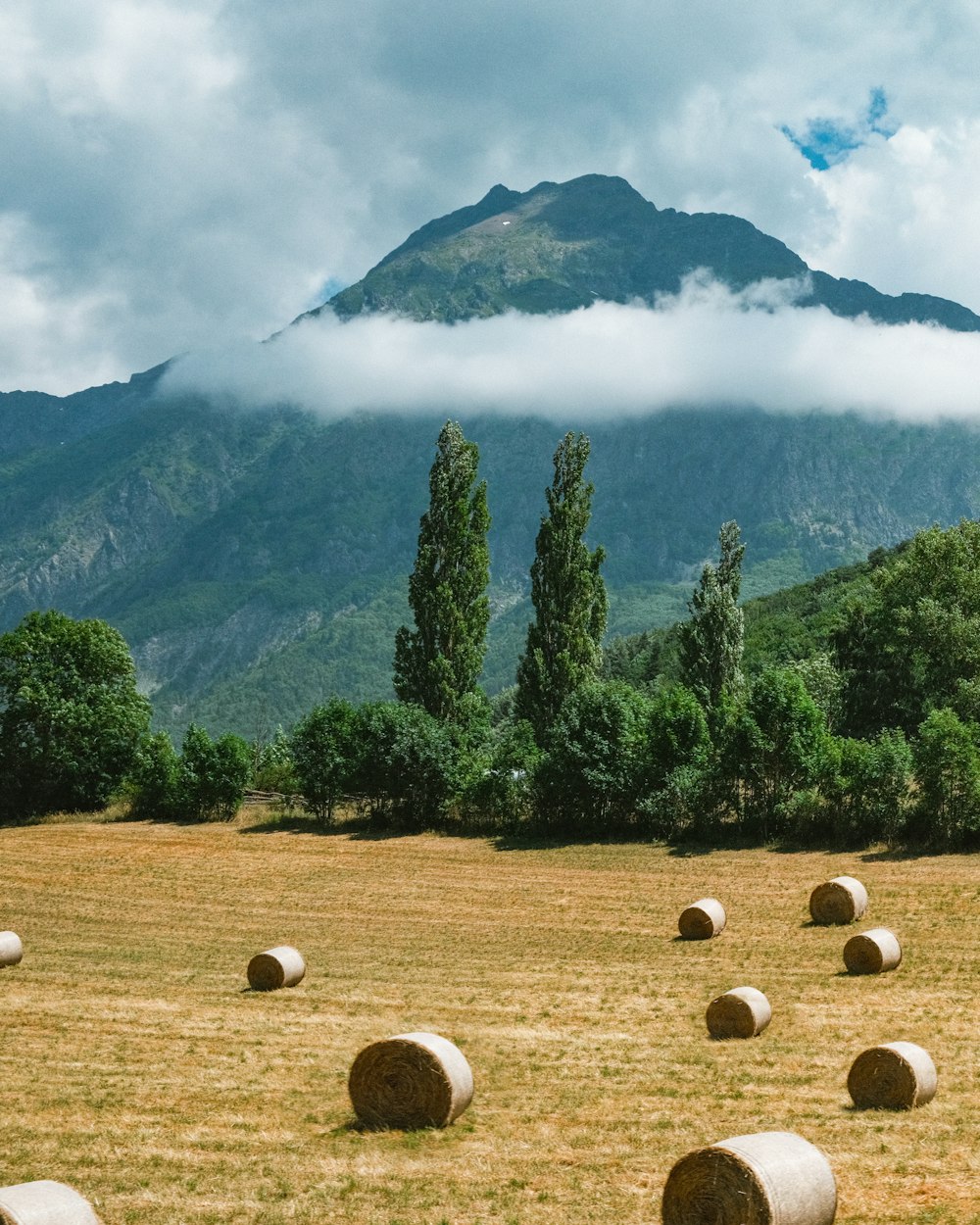 bales of hay in a field with mountains in the background