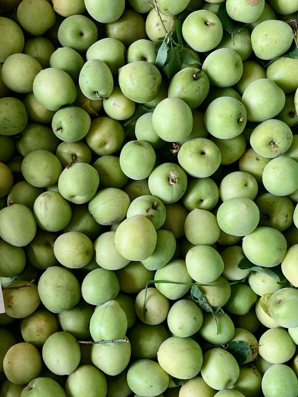 a pile of green apples sitting next to each other