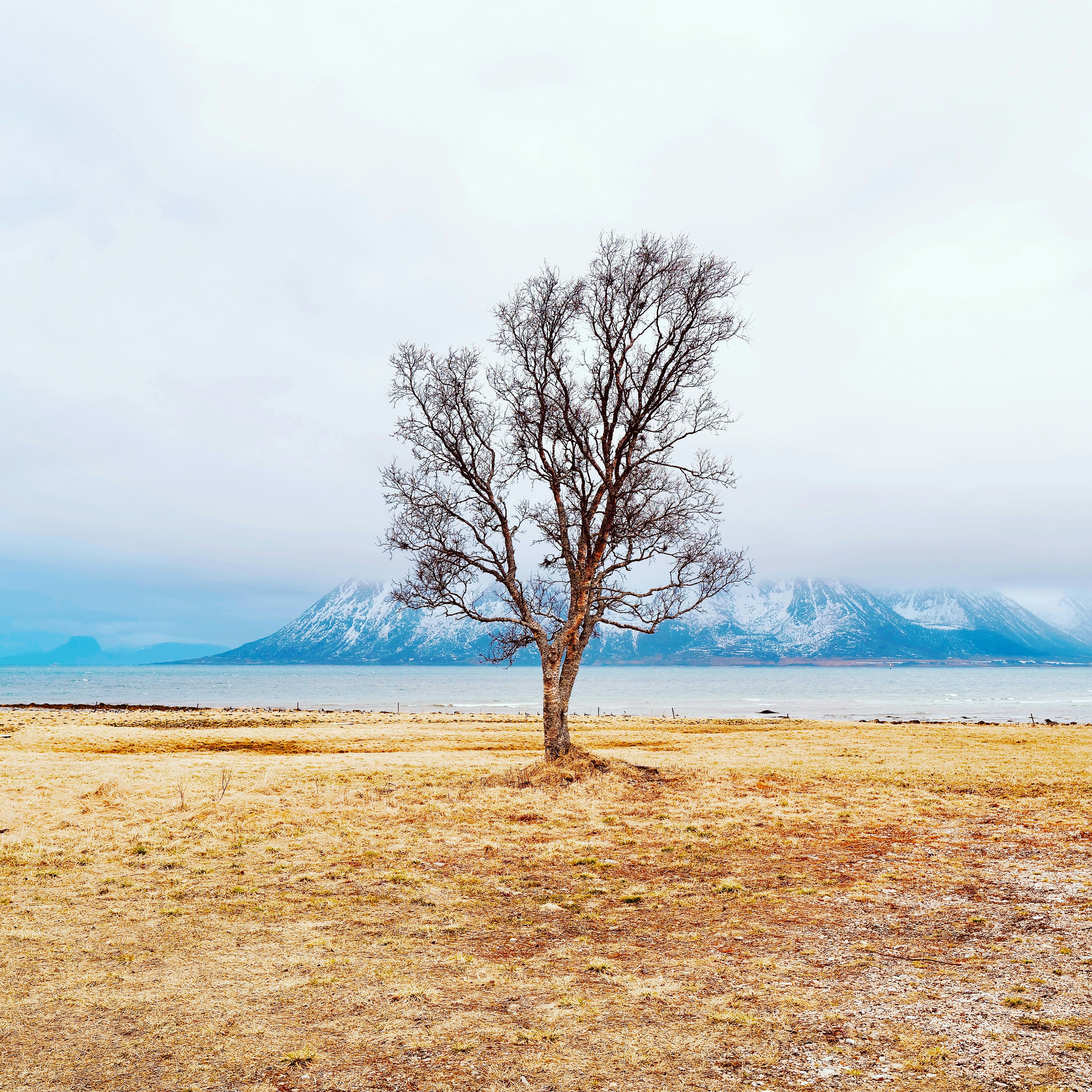 Photo by richardhatleskog