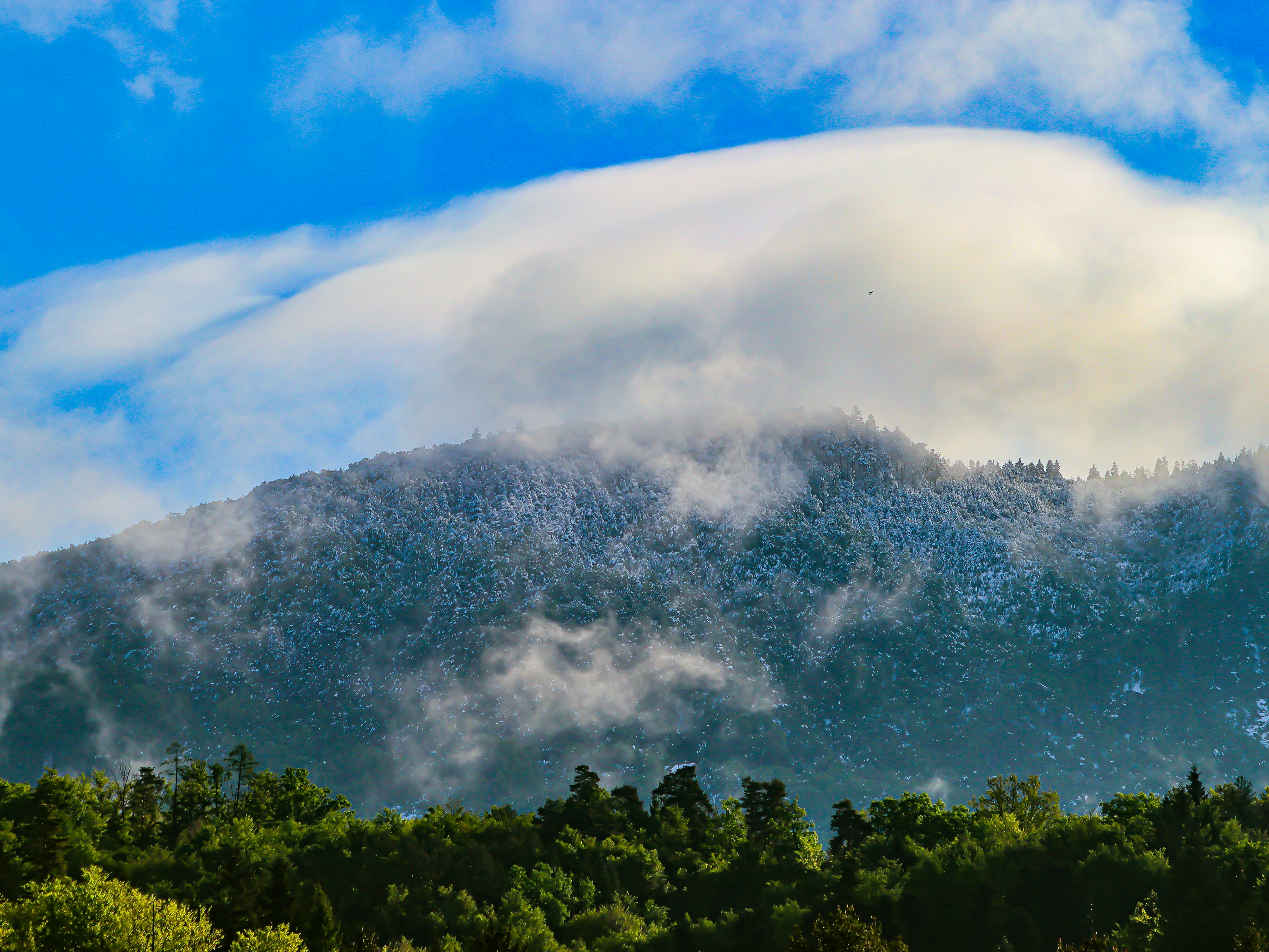 Climate on the Edge: Weather on Mount Roraima (image credits: unsplash)