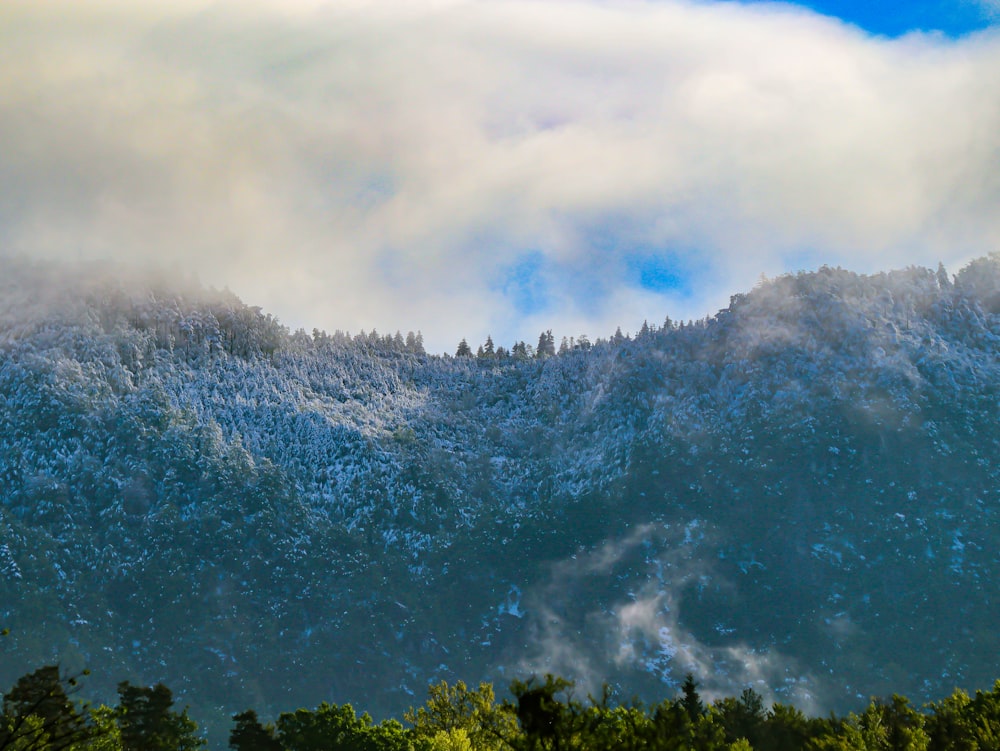 a mountain covered in snow with trees in the foreground