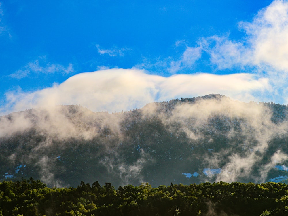 a view of a mountain covered in clouds