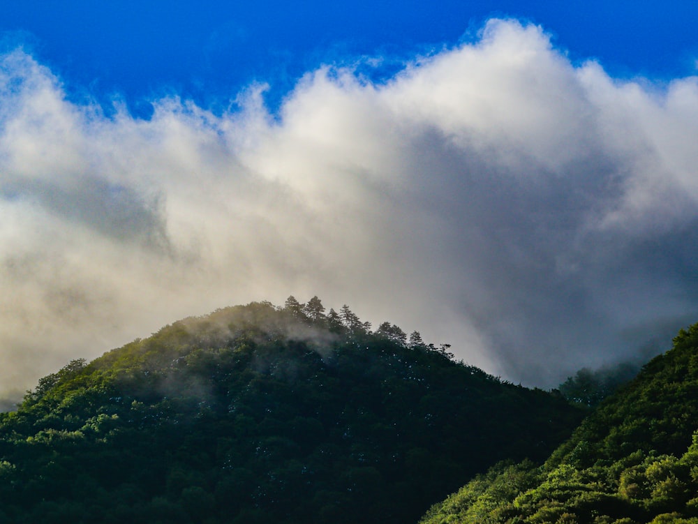 a mountain covered in clouds and trees under a blue sky