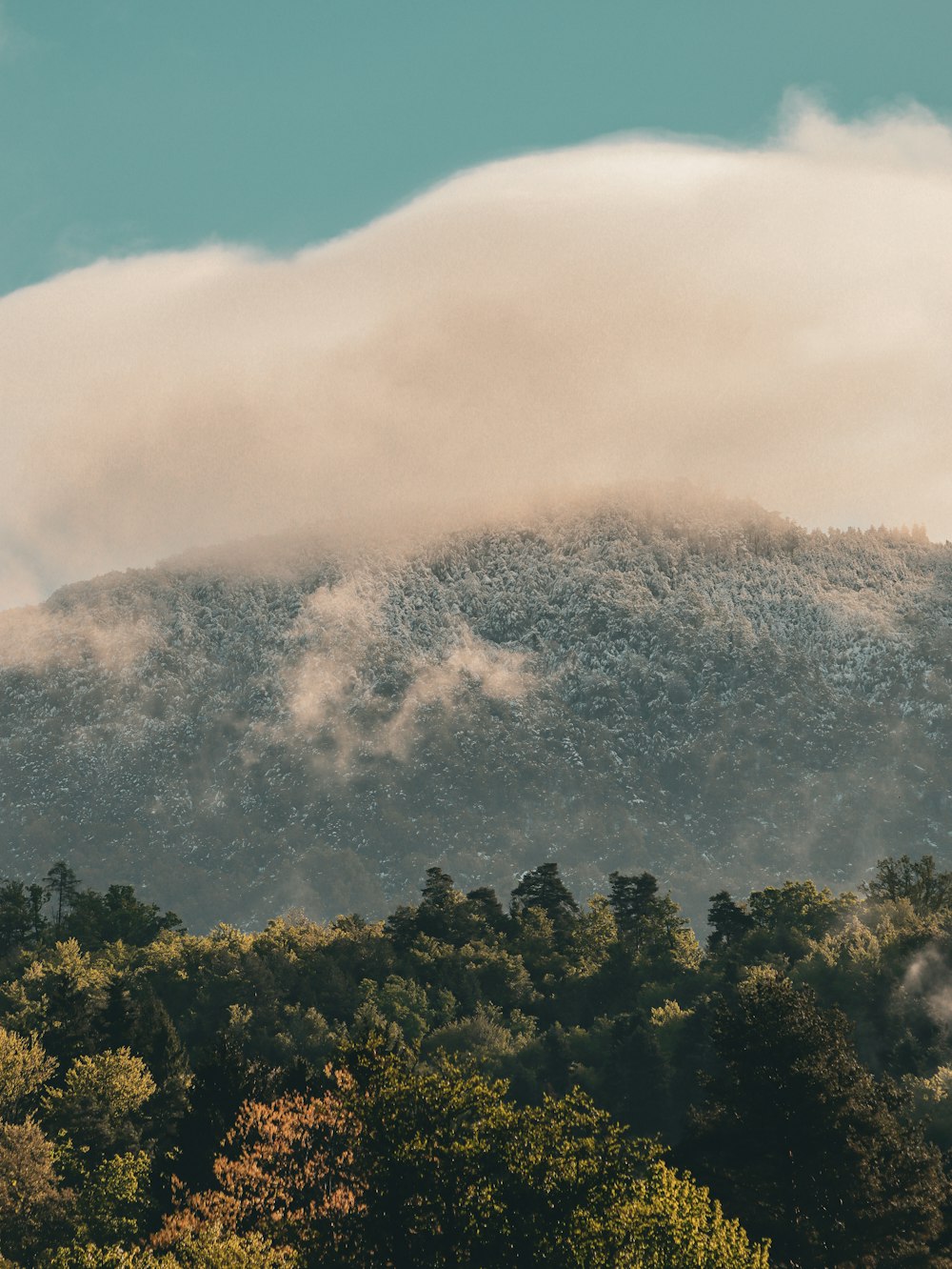 a mountain covered in clouds and trees under a blue sky