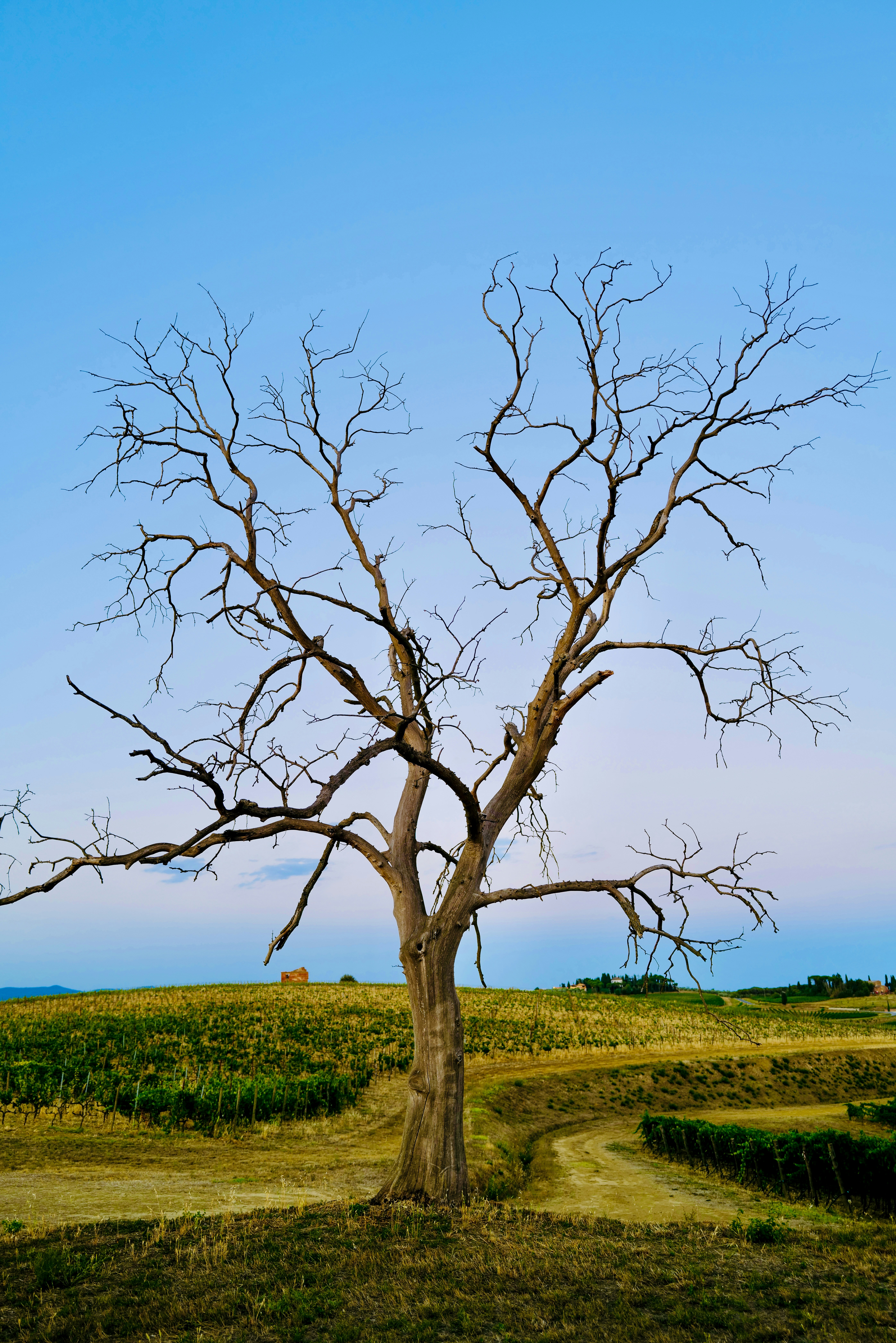 Photo by richardhatleskog