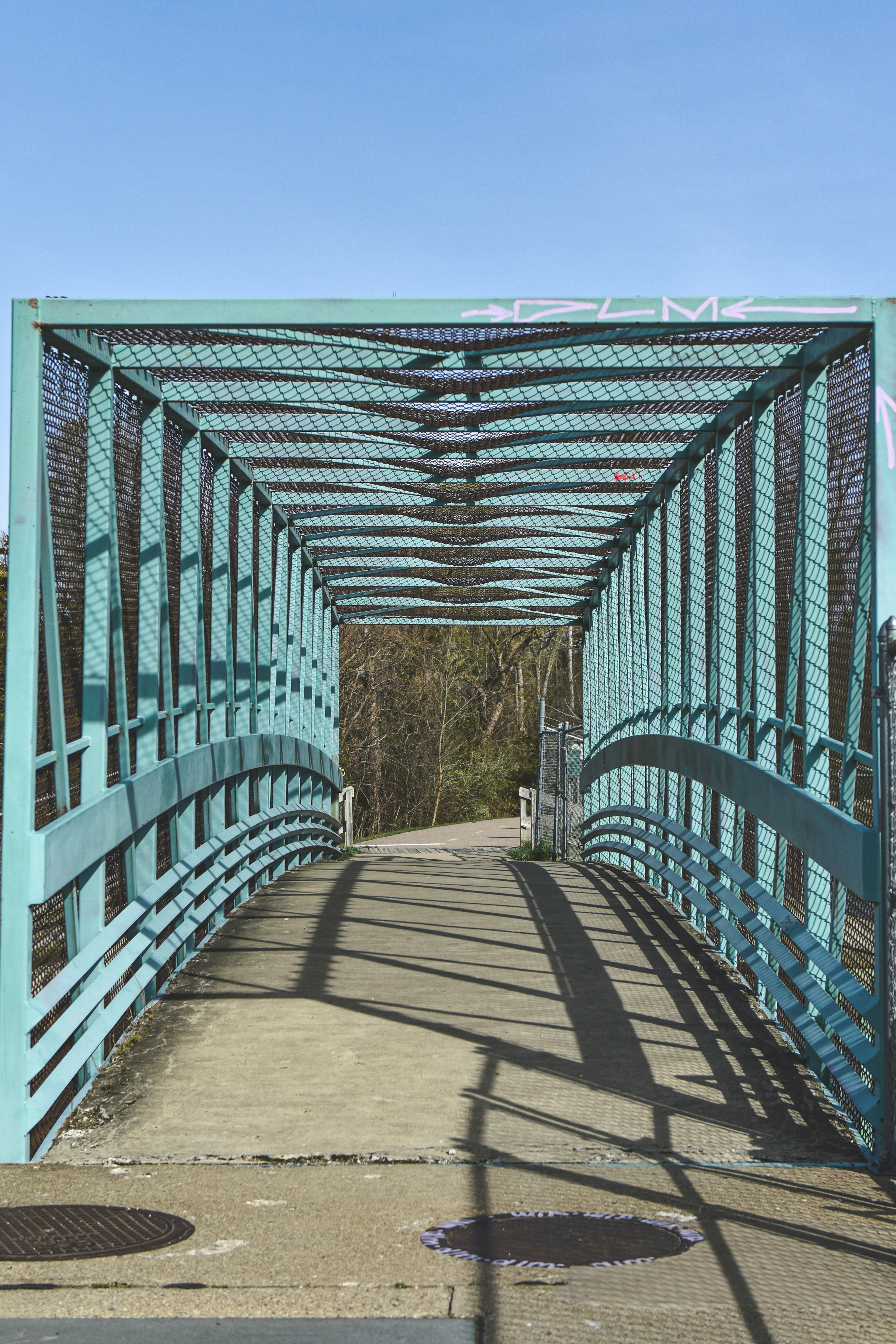 Photo by freefolkphoto