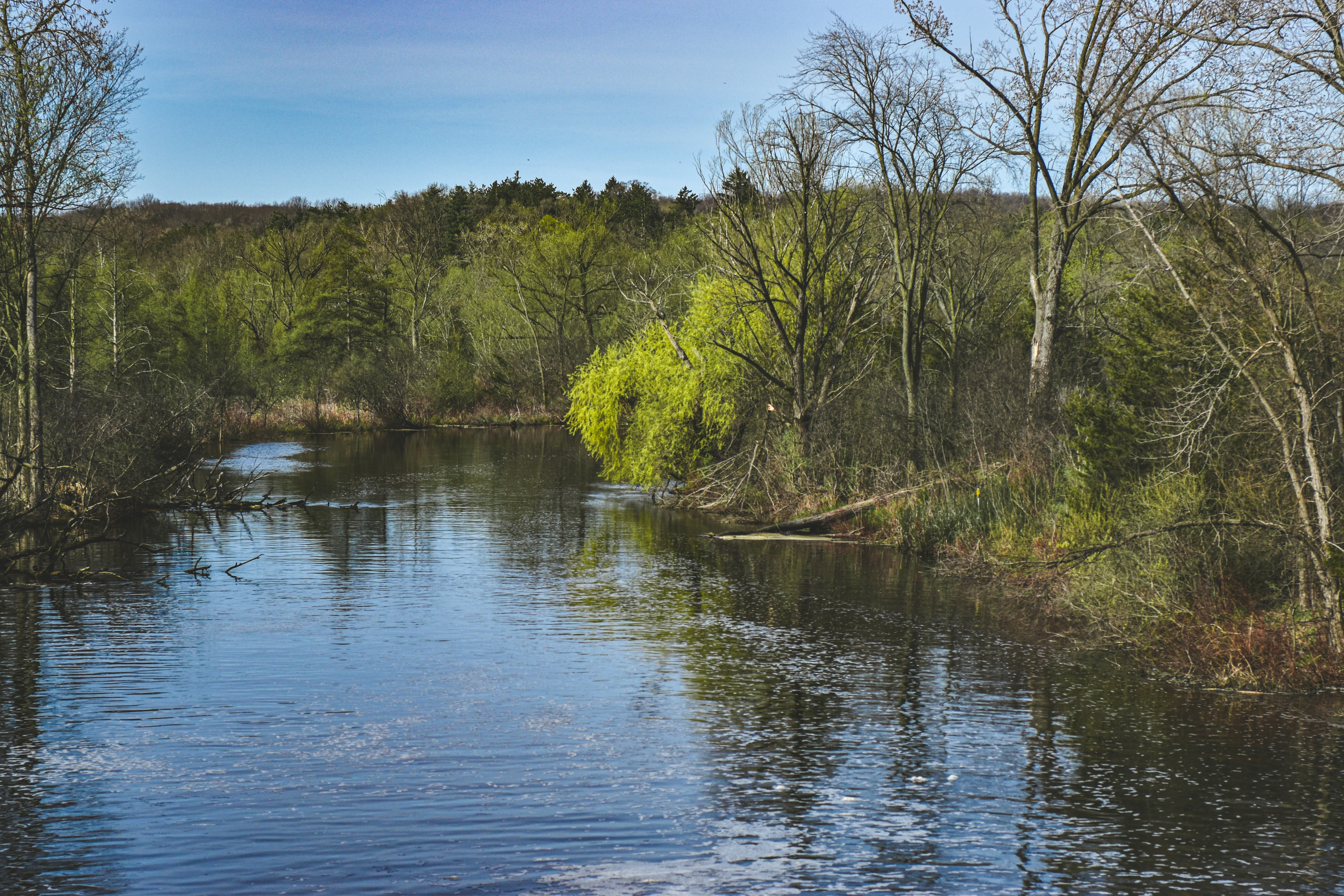 Photo by freefolkphoto