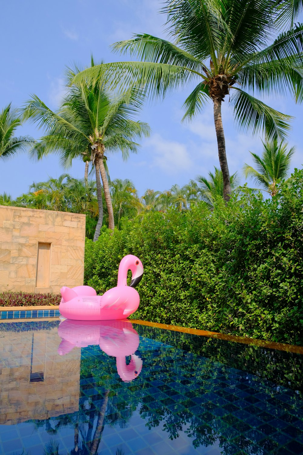 a pink flamingo floating on top of a swimming pool