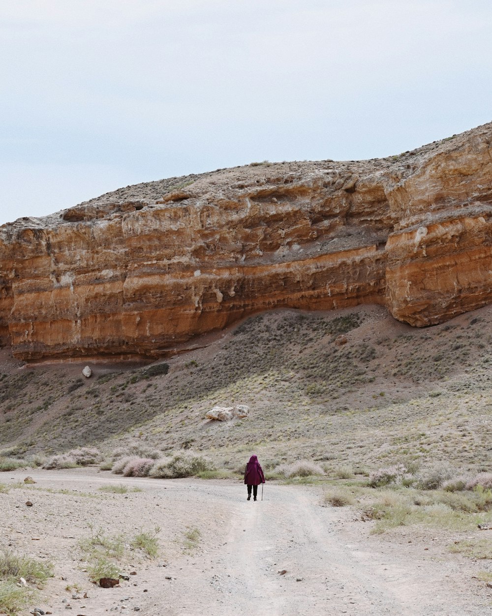 a person walking down a dirt road in the desert