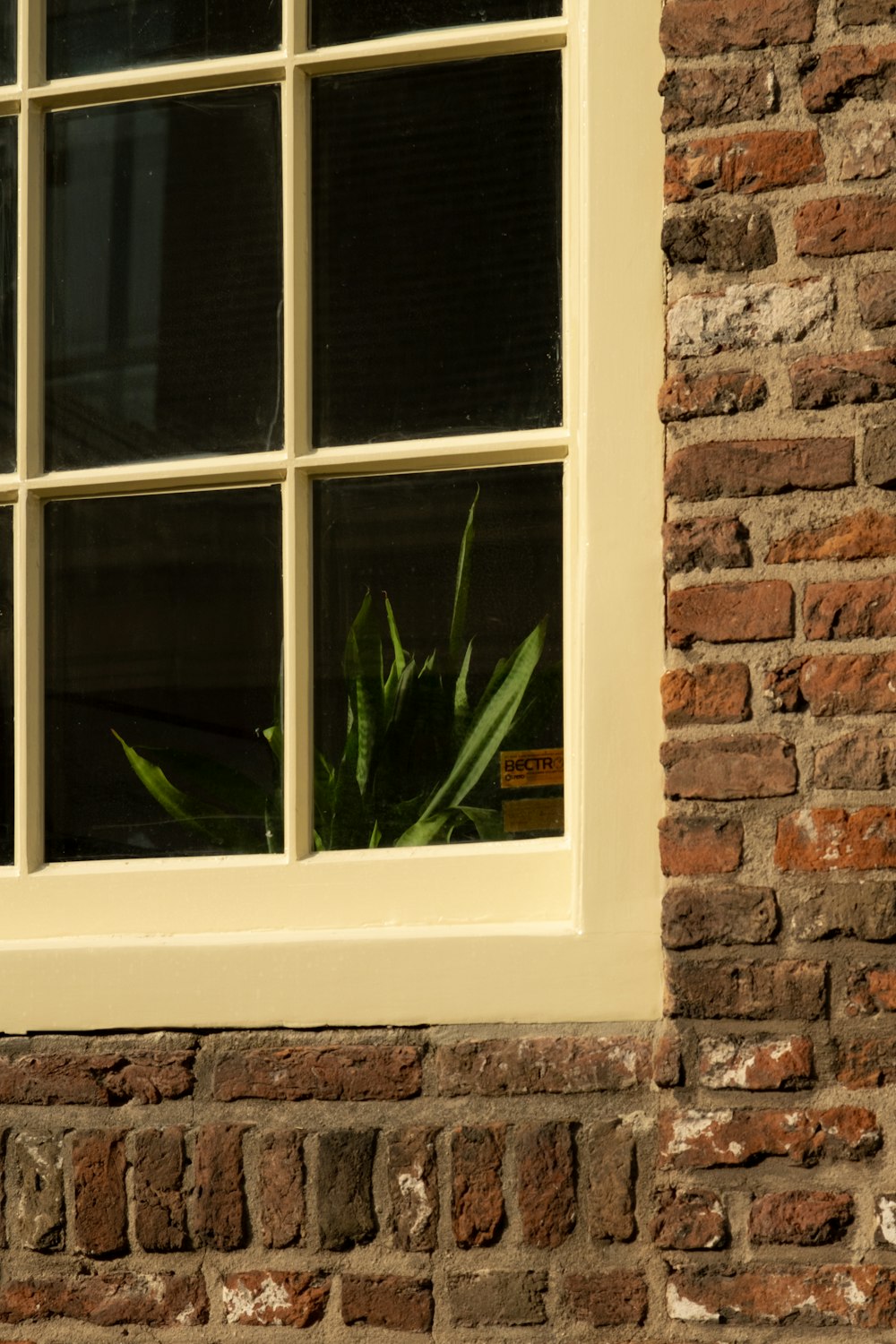 a brick building with a white window and a green plant