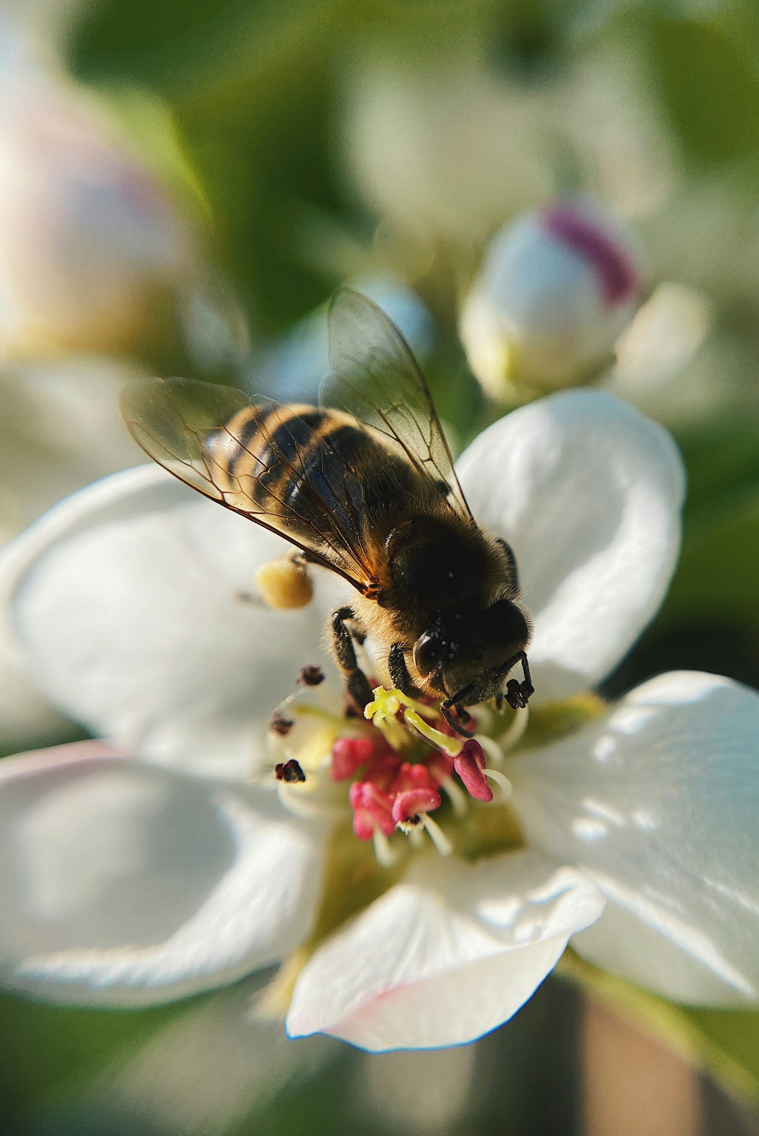 Photo by dariuscotoi