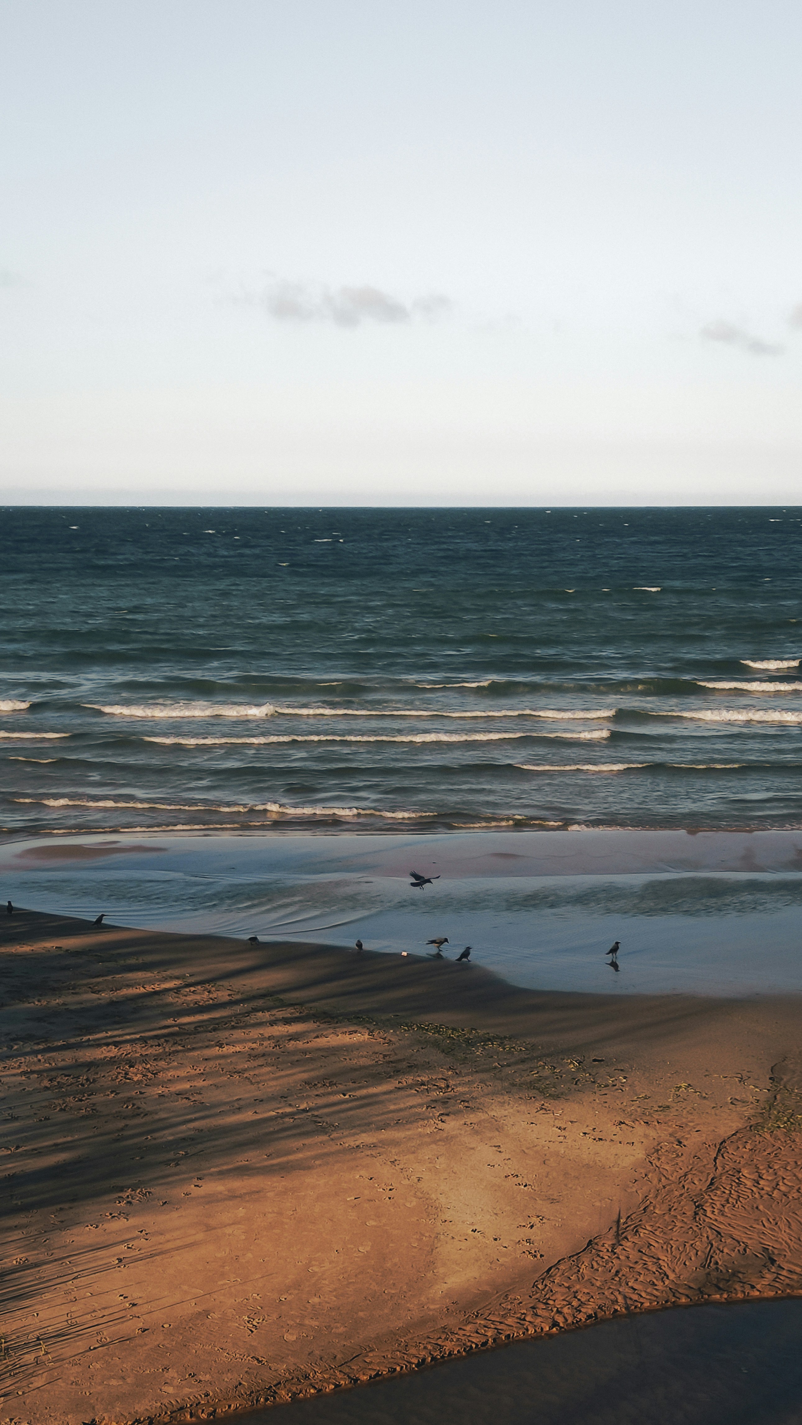 coastal wallpaper light, wallpaper, Coastal Pendant Lights: Illuminate Your Basement 6