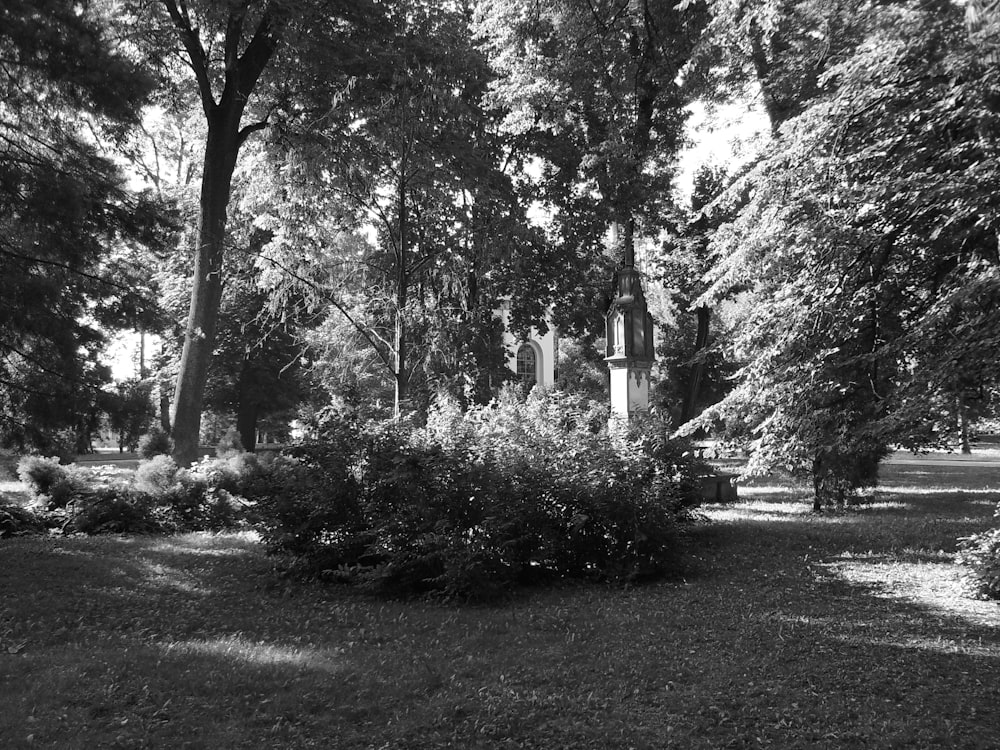 a black and white photo of a park