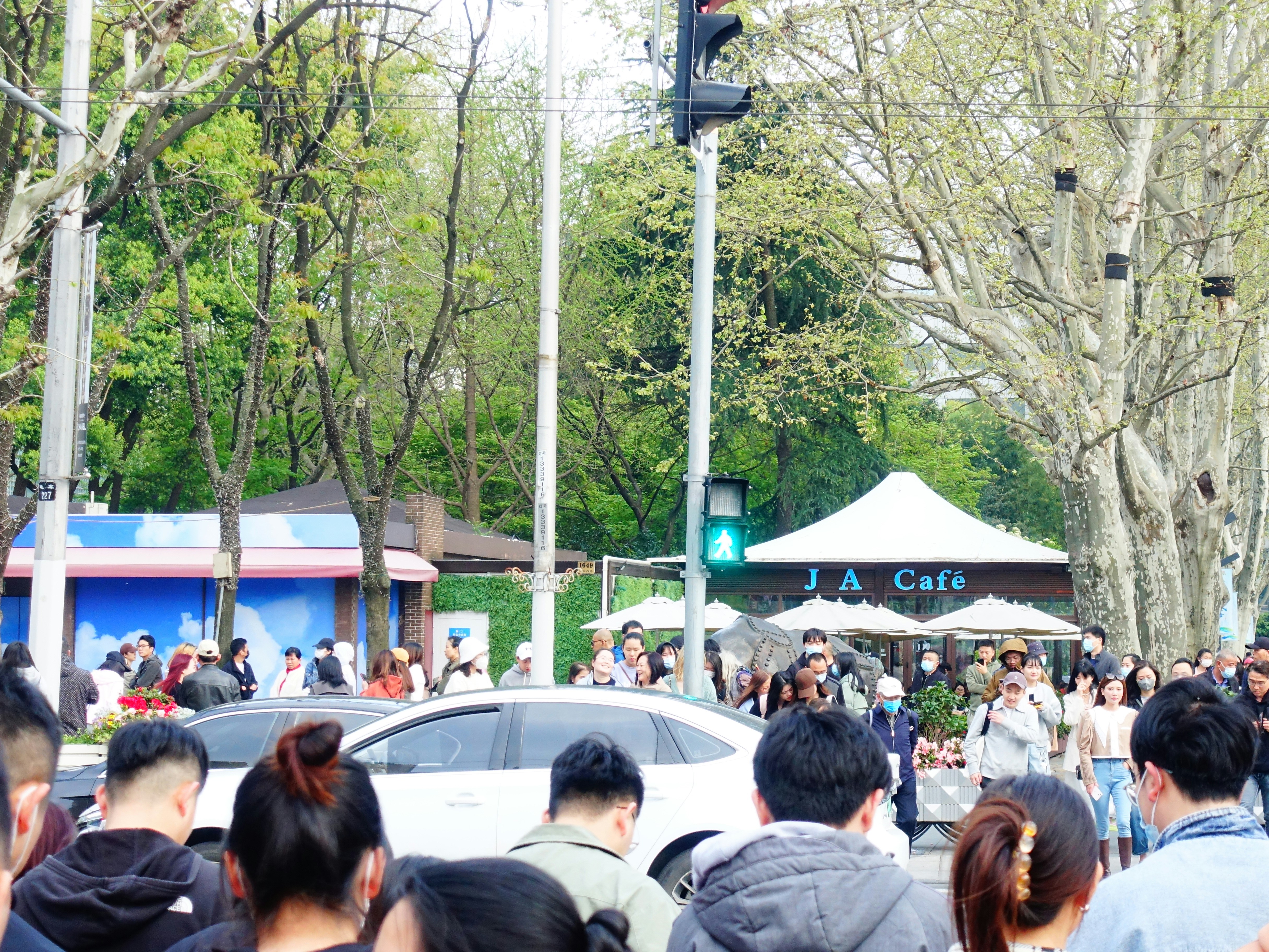 대전 축제 가수 라인업영시 관련 이미지2