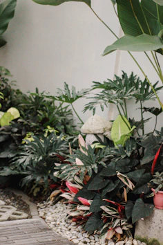 a garden filled with lots of plants and rocks