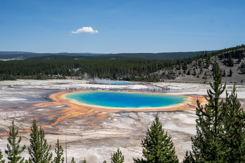 a blue and yellow pool surrounded by pine trees