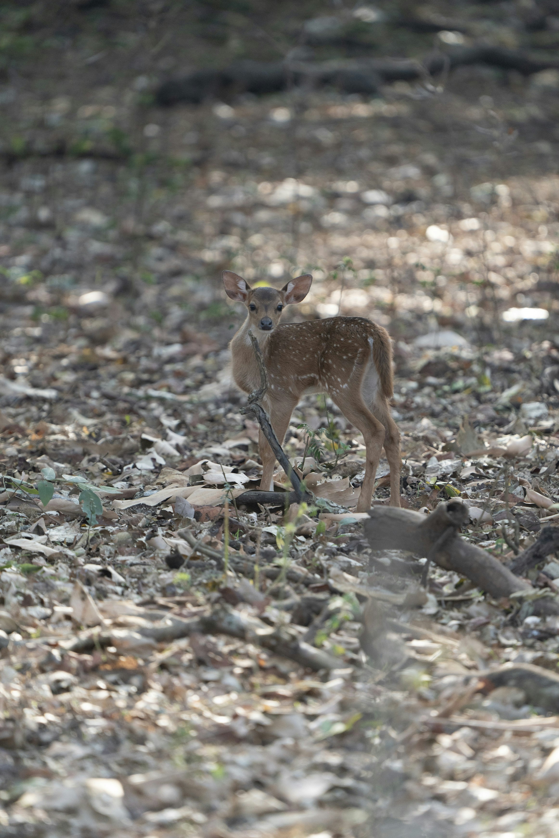 Photo by vatsalparekh