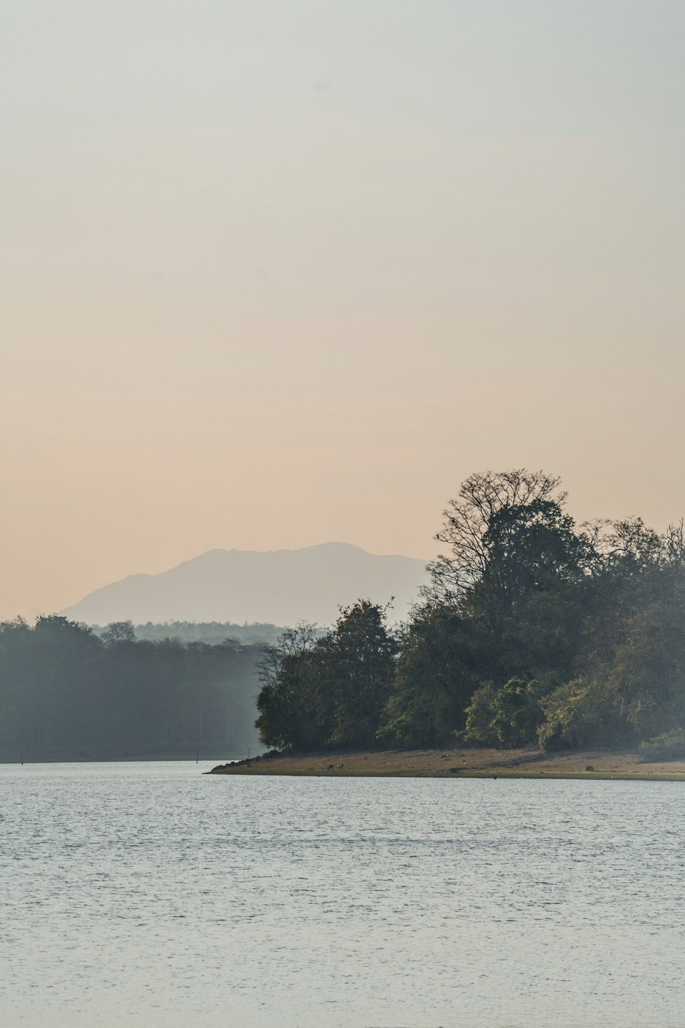 a large body of water with trees in the background