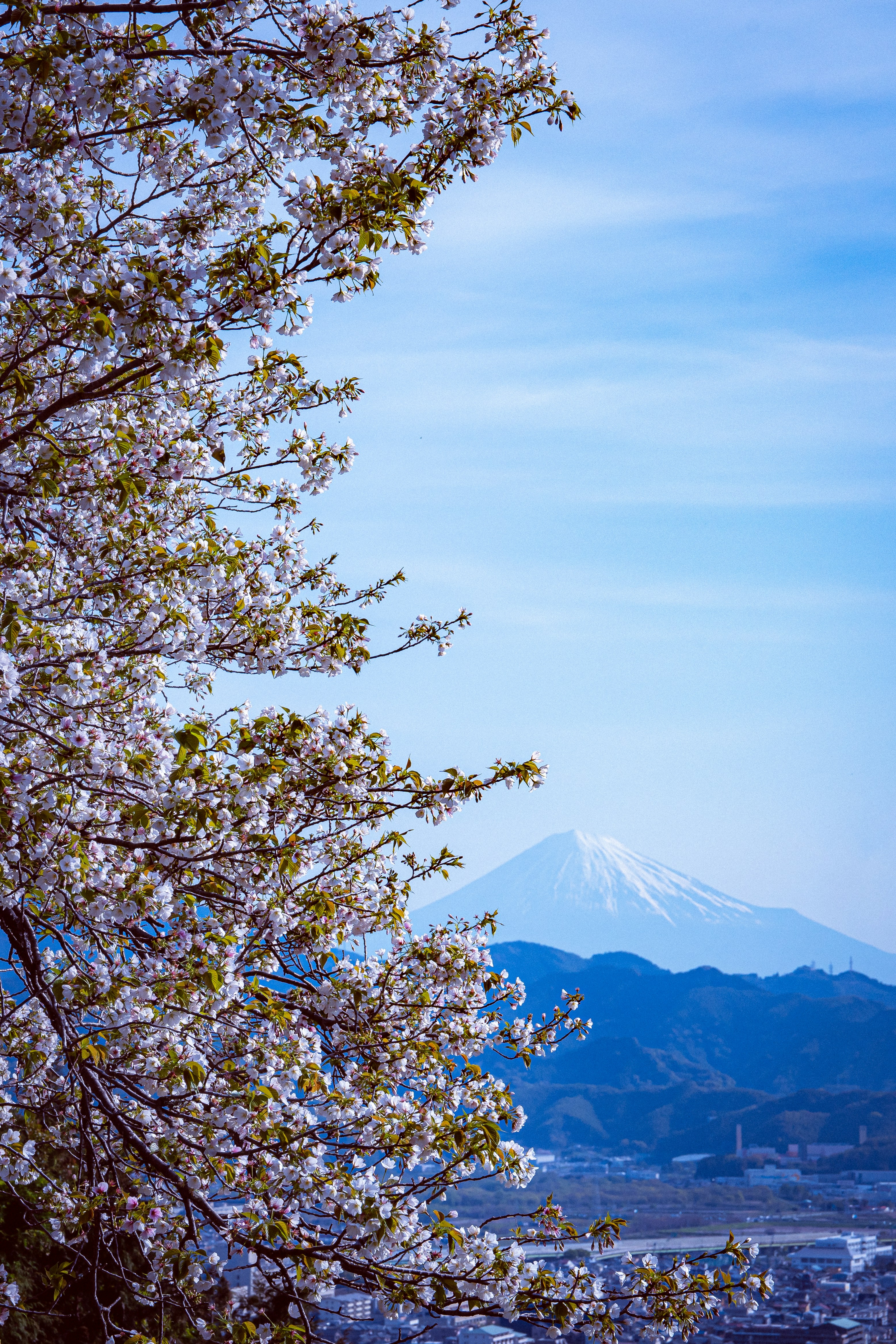 Photo by ts_____