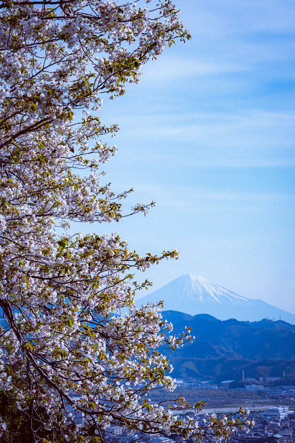 a view of a snow capped mountain from a distance