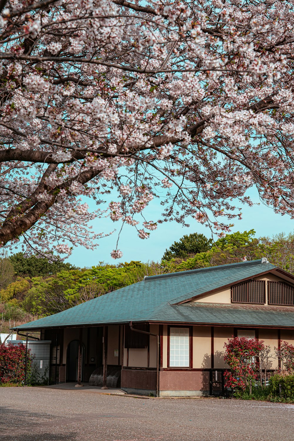 a small building with a blue roof under a tree