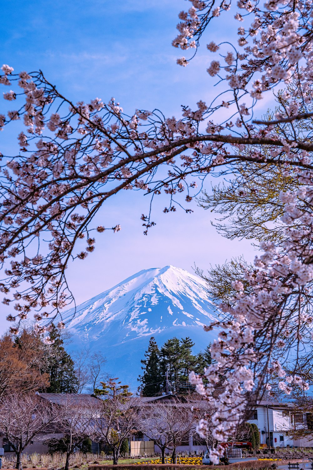 a view of a snow covered mountain from a park