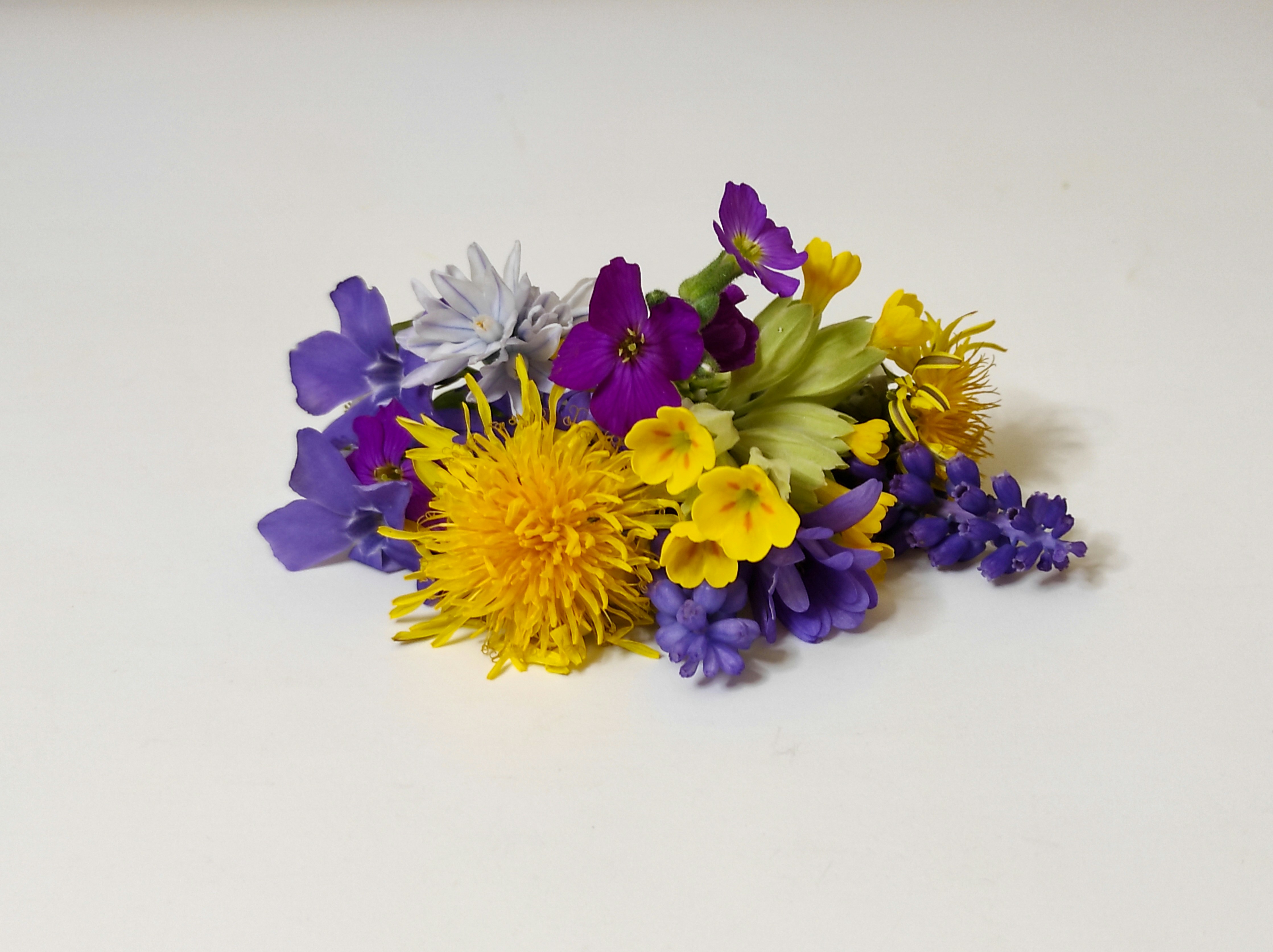 Photo by daniela_e_photography