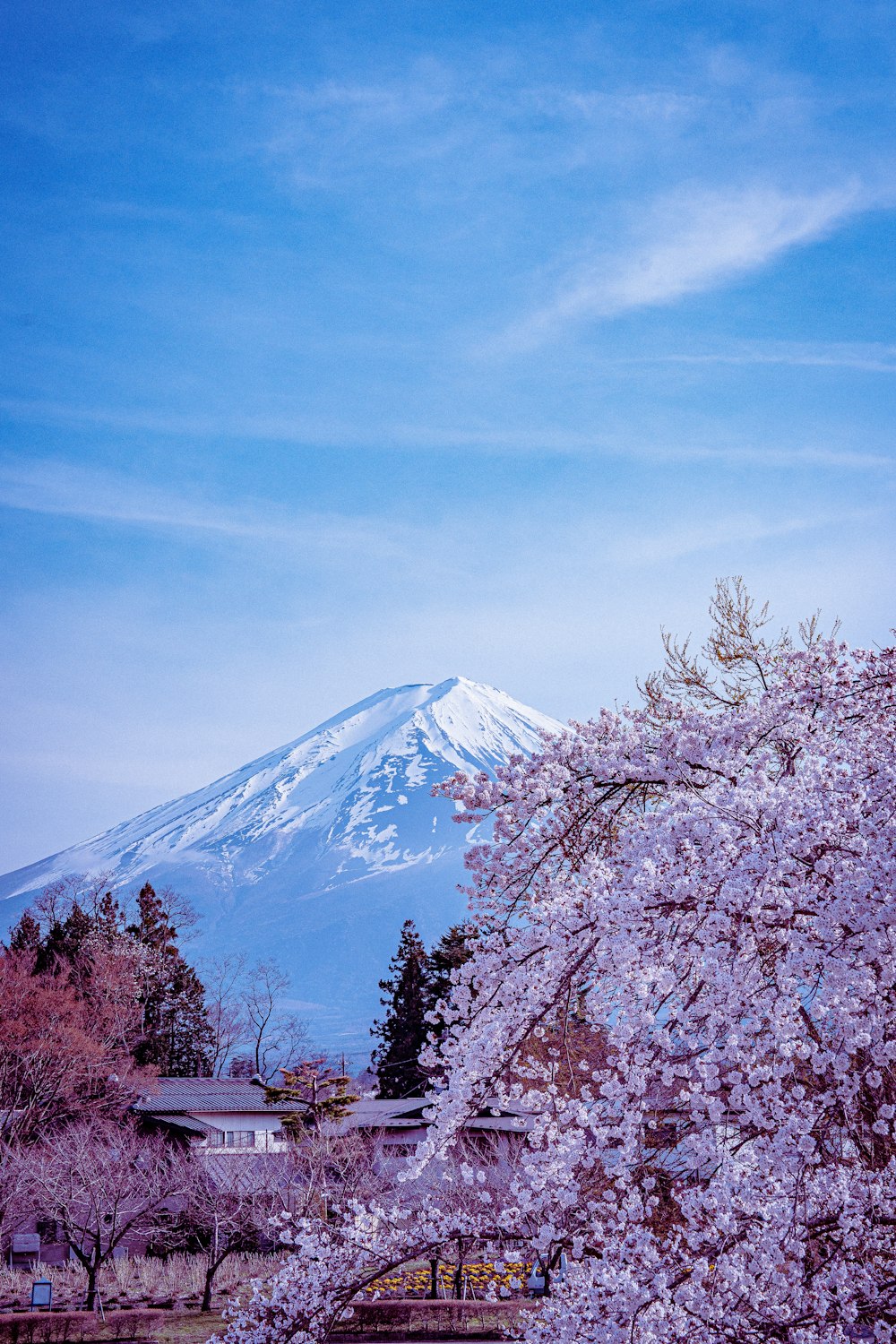 a large snow covered mountain in the distance