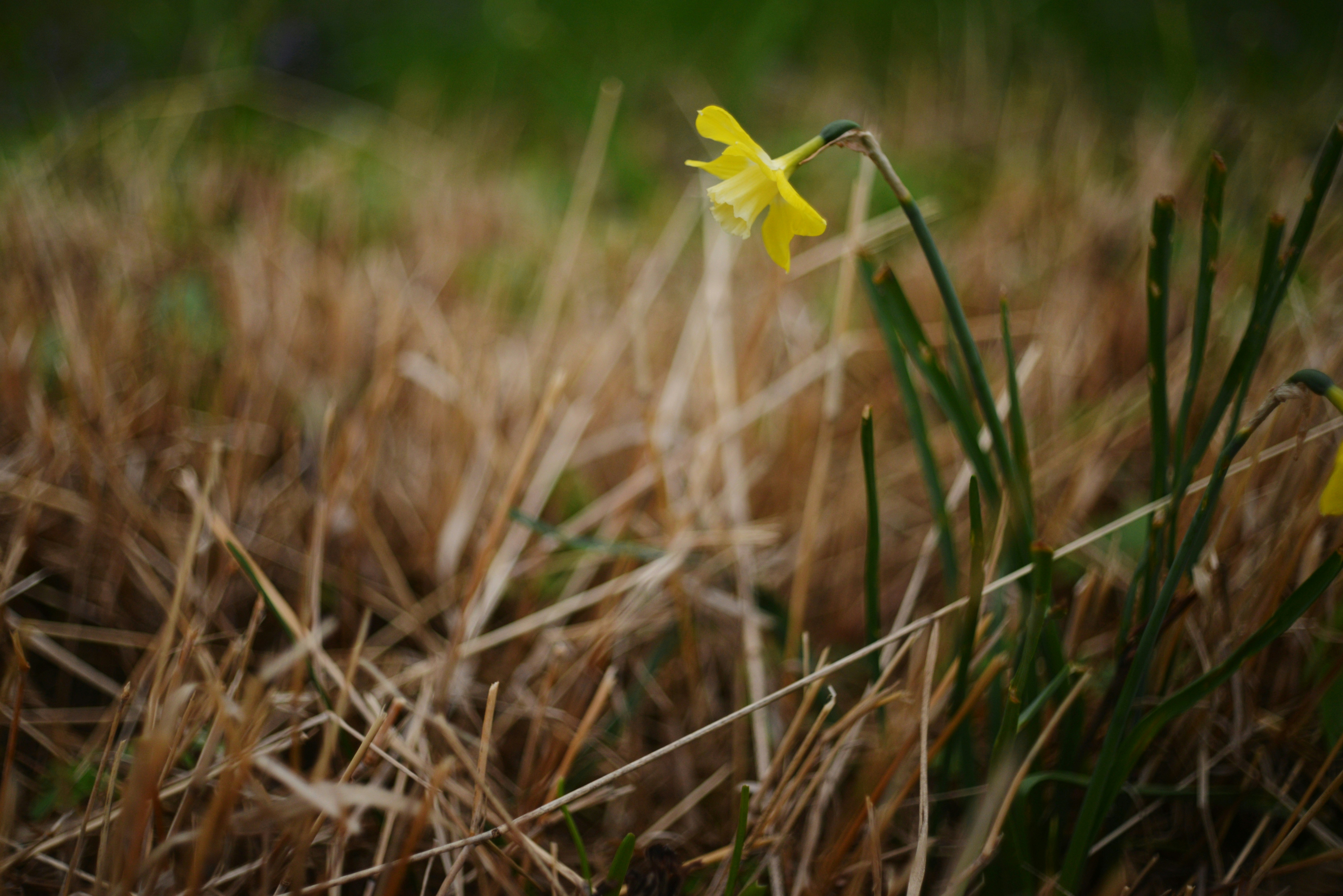 Photo by cherstve_pechivo