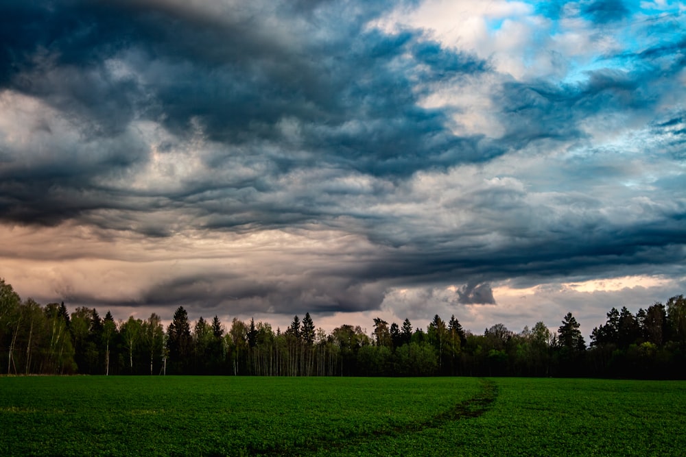a field with a path leading to a forest under a cloudy sky