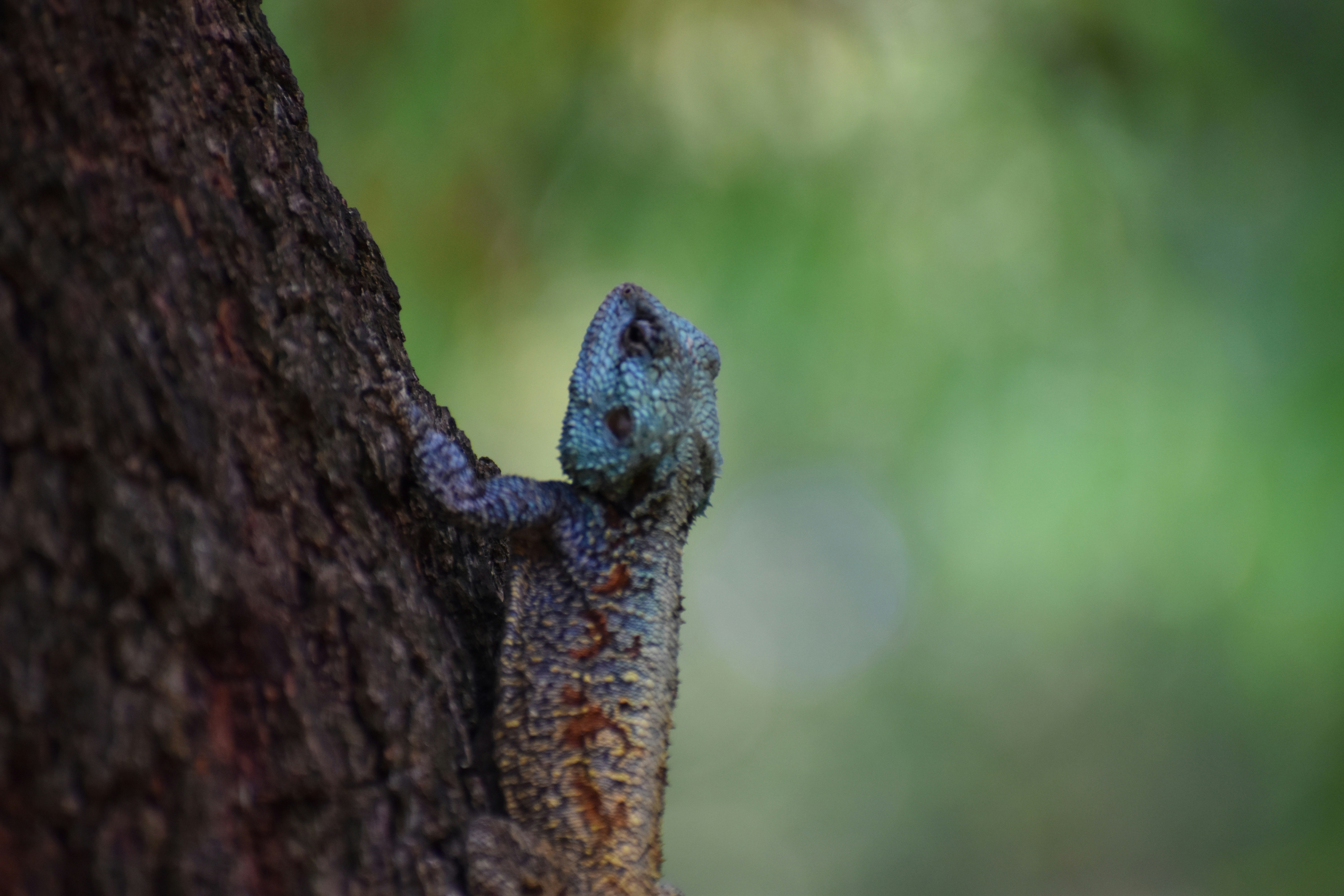 Photo by capturedmemory