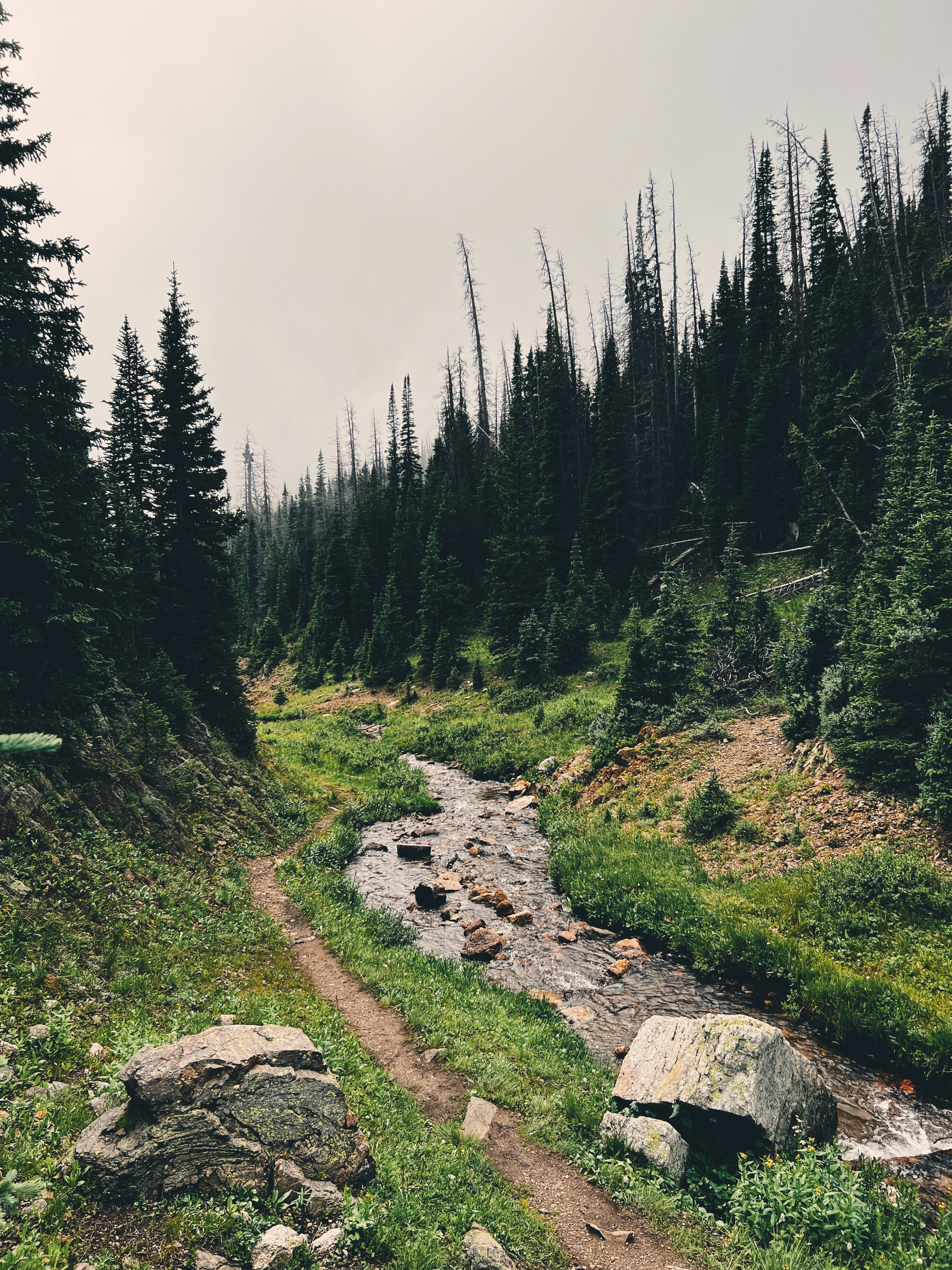 Photo by chrispyapple